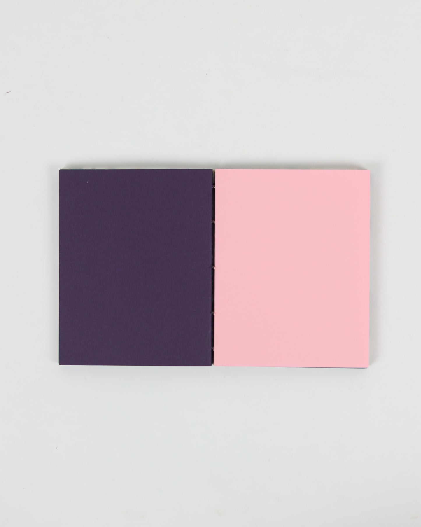 Italian Cavallini Paper Book