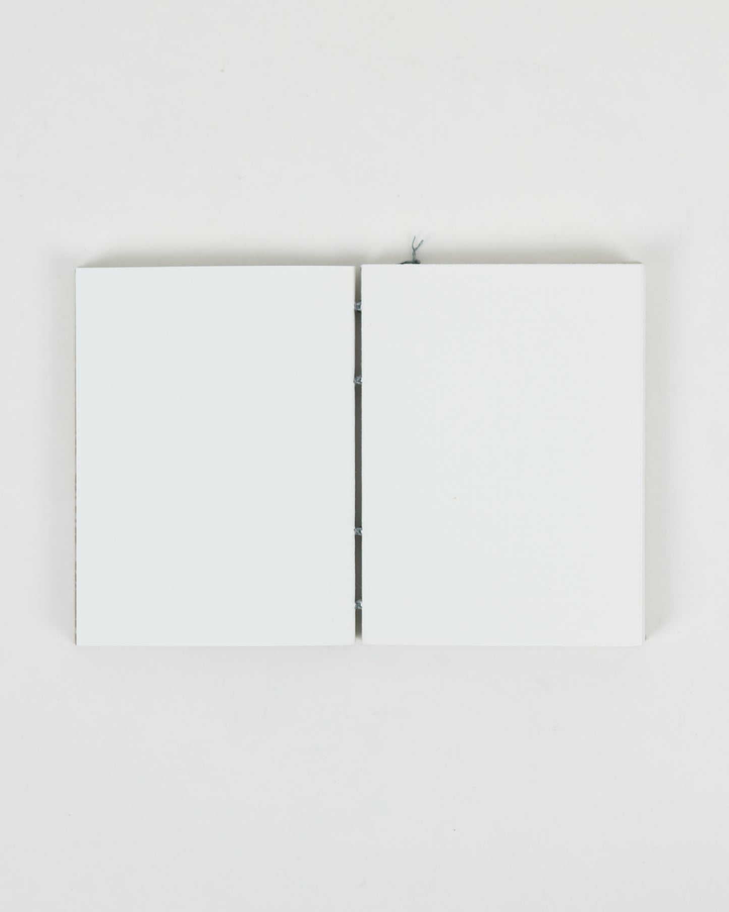 Italian Cavallini Baroque Paper Book
