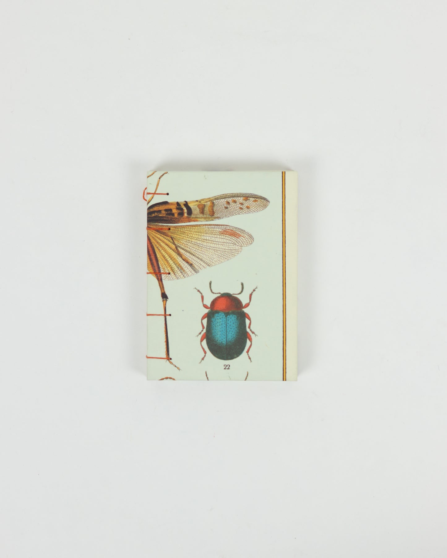 Italian Cavallini Insect Paper Book