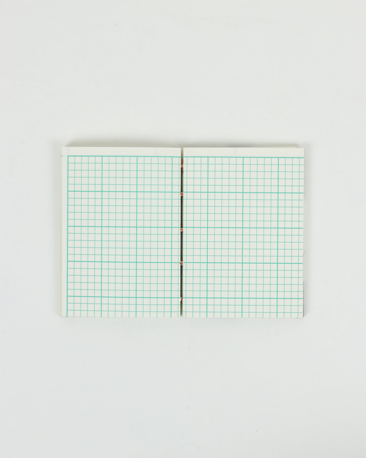 Italian Cavallini Insect Paper Book