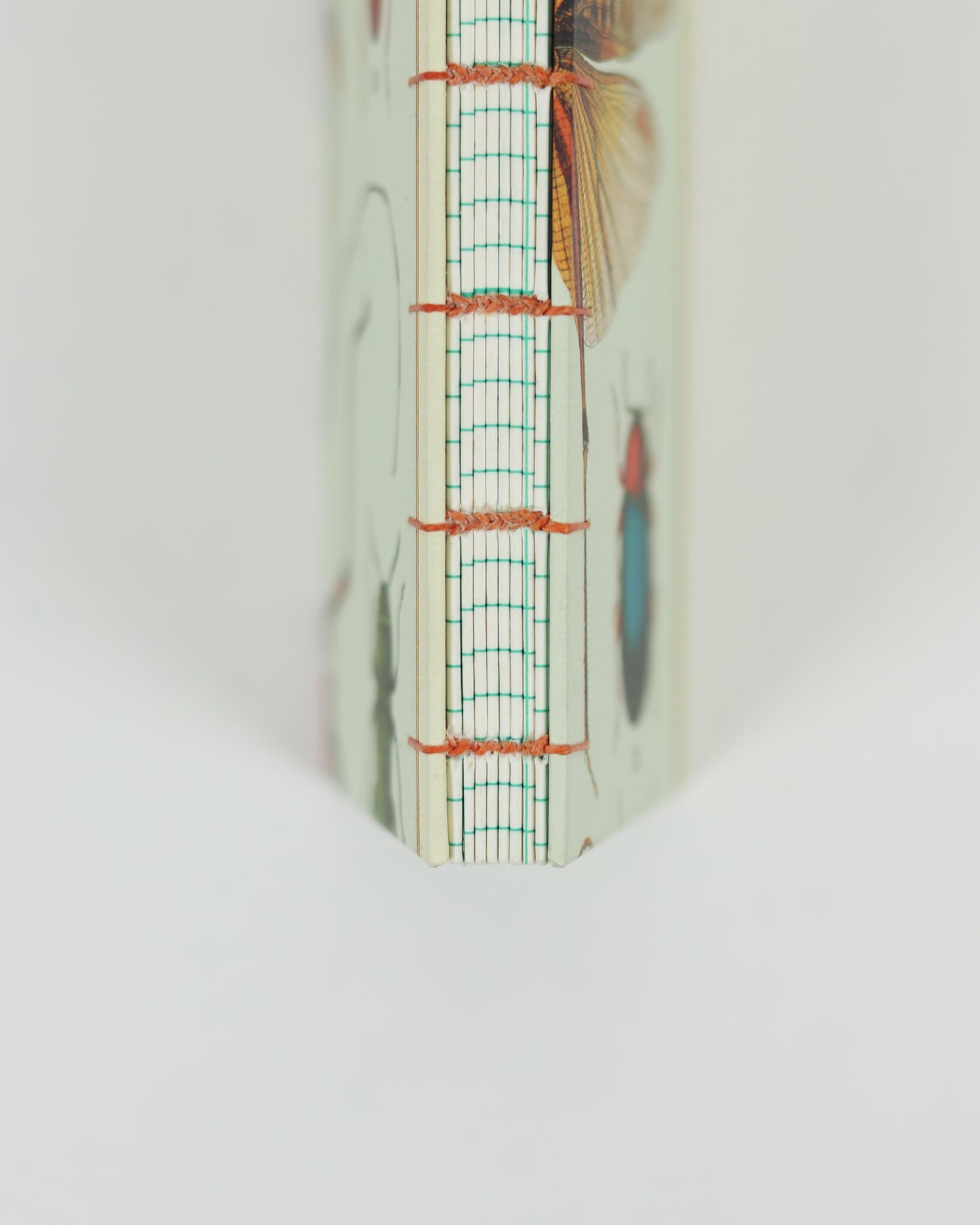 Italian Cavallini Insect Paper Book