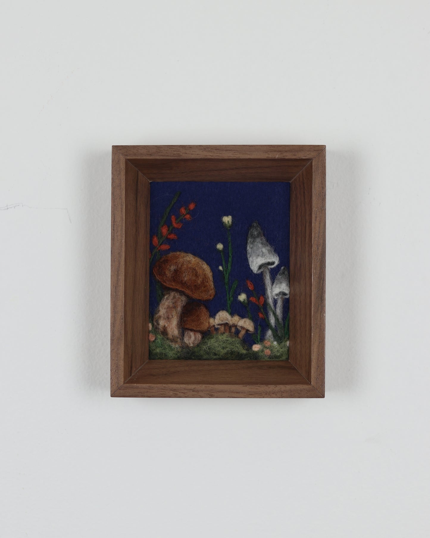 Forest Toadstools