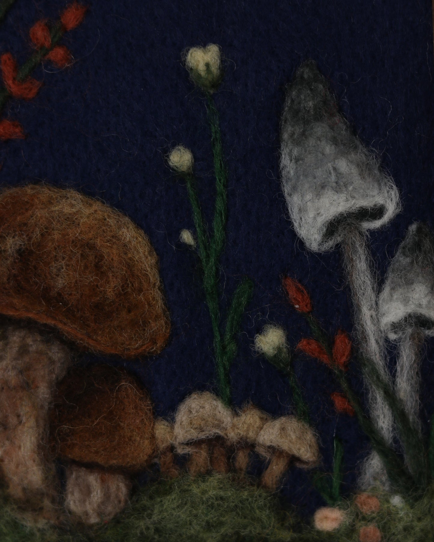 Forest Toadstools