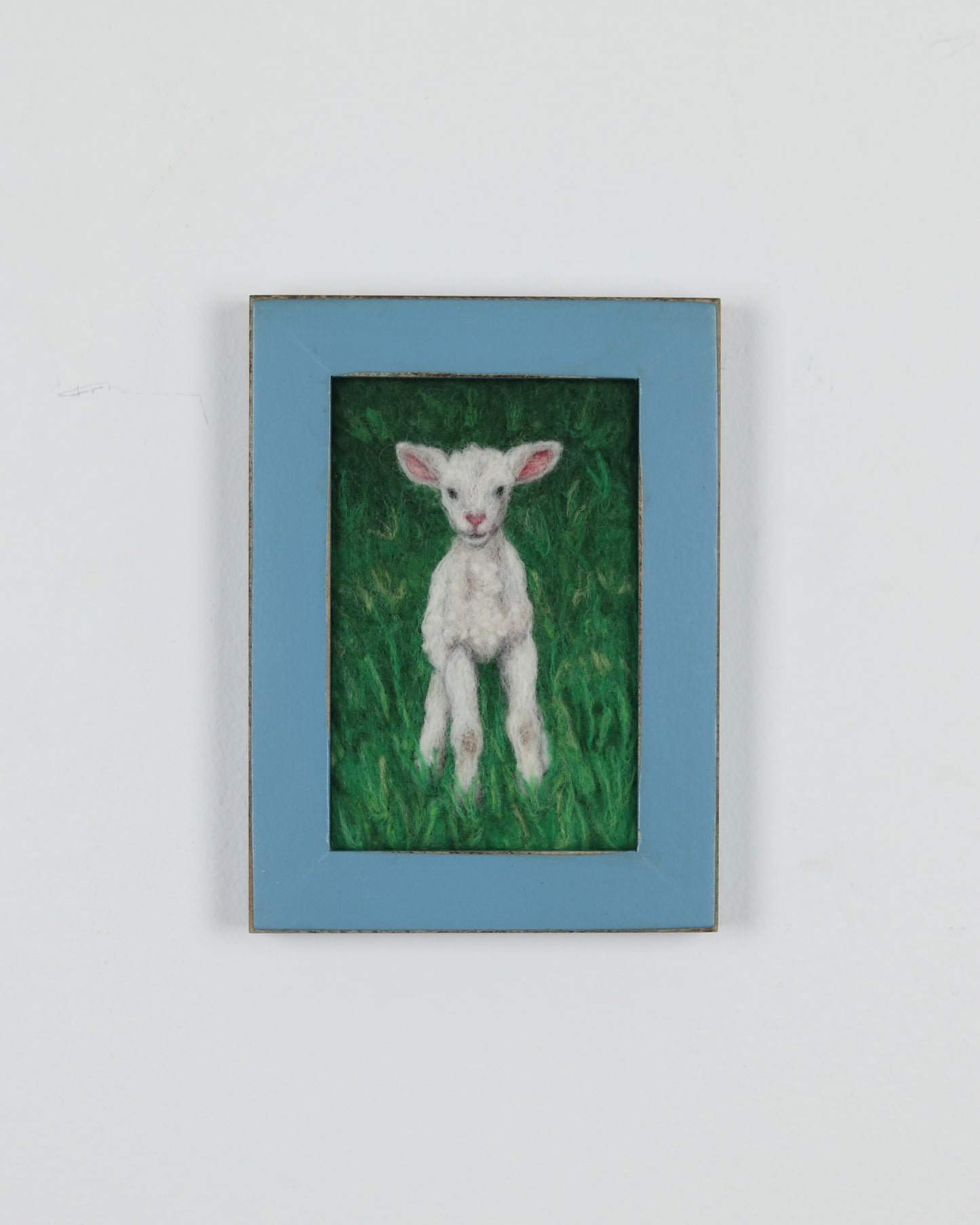 Baby Lamb