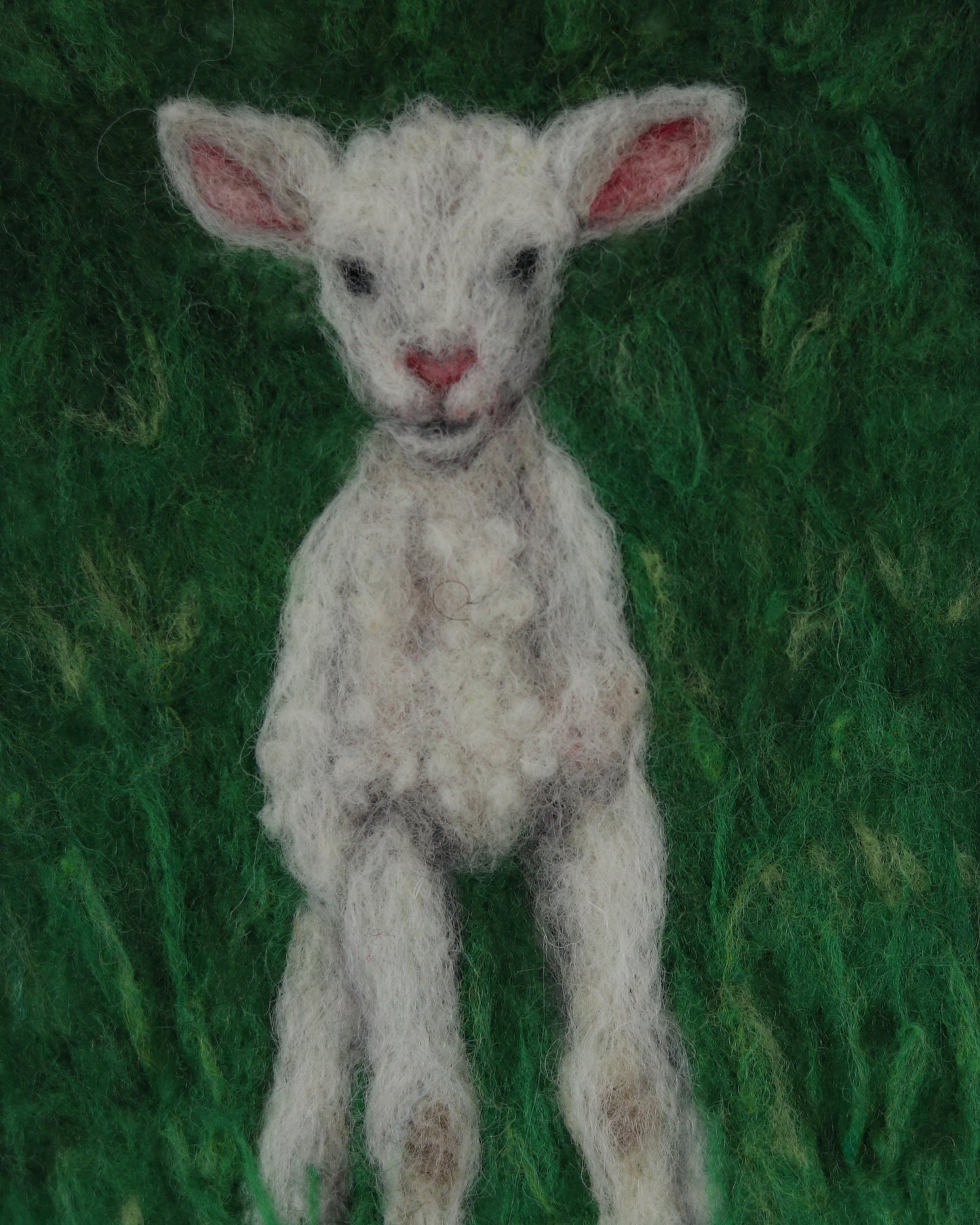 Baby Lamb