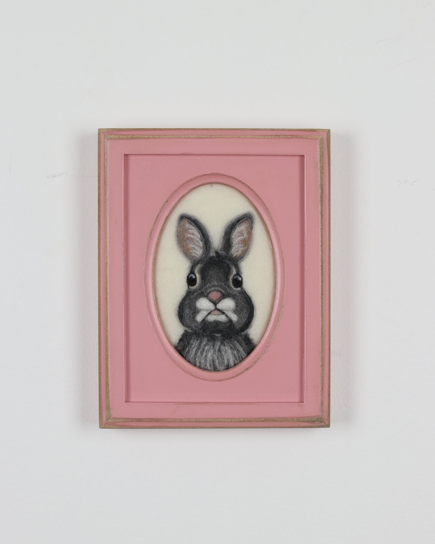 Mountain Cottontail Bunny