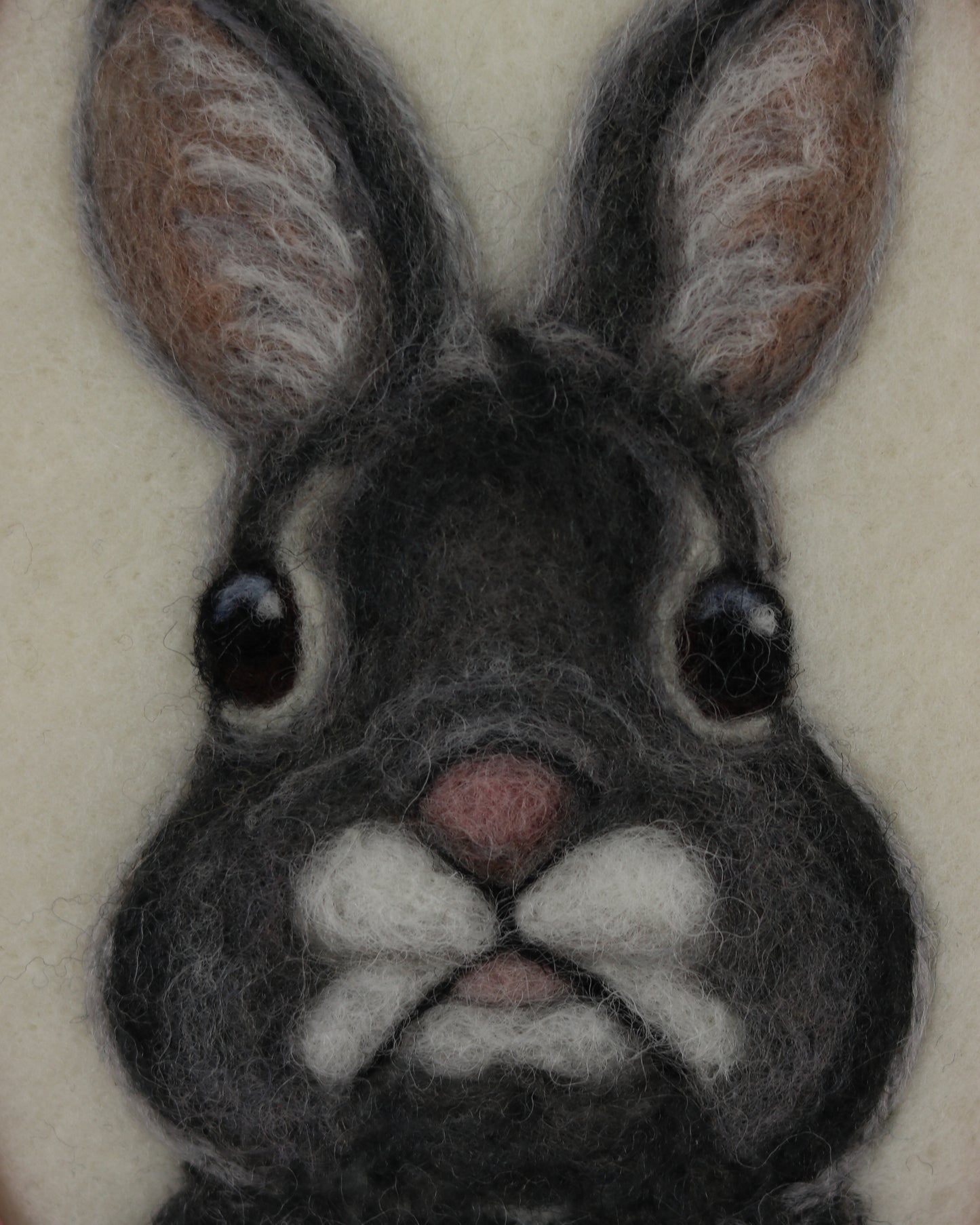 Mountain Cottontail Bunny