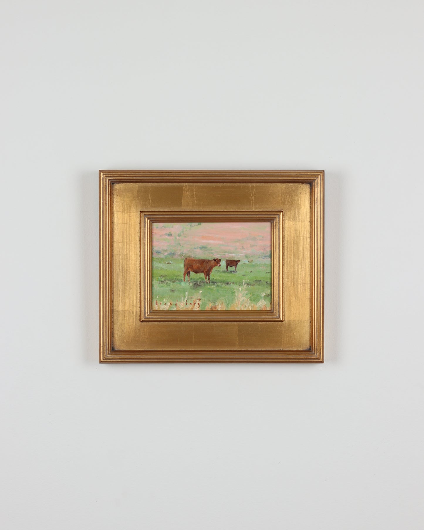Cows
