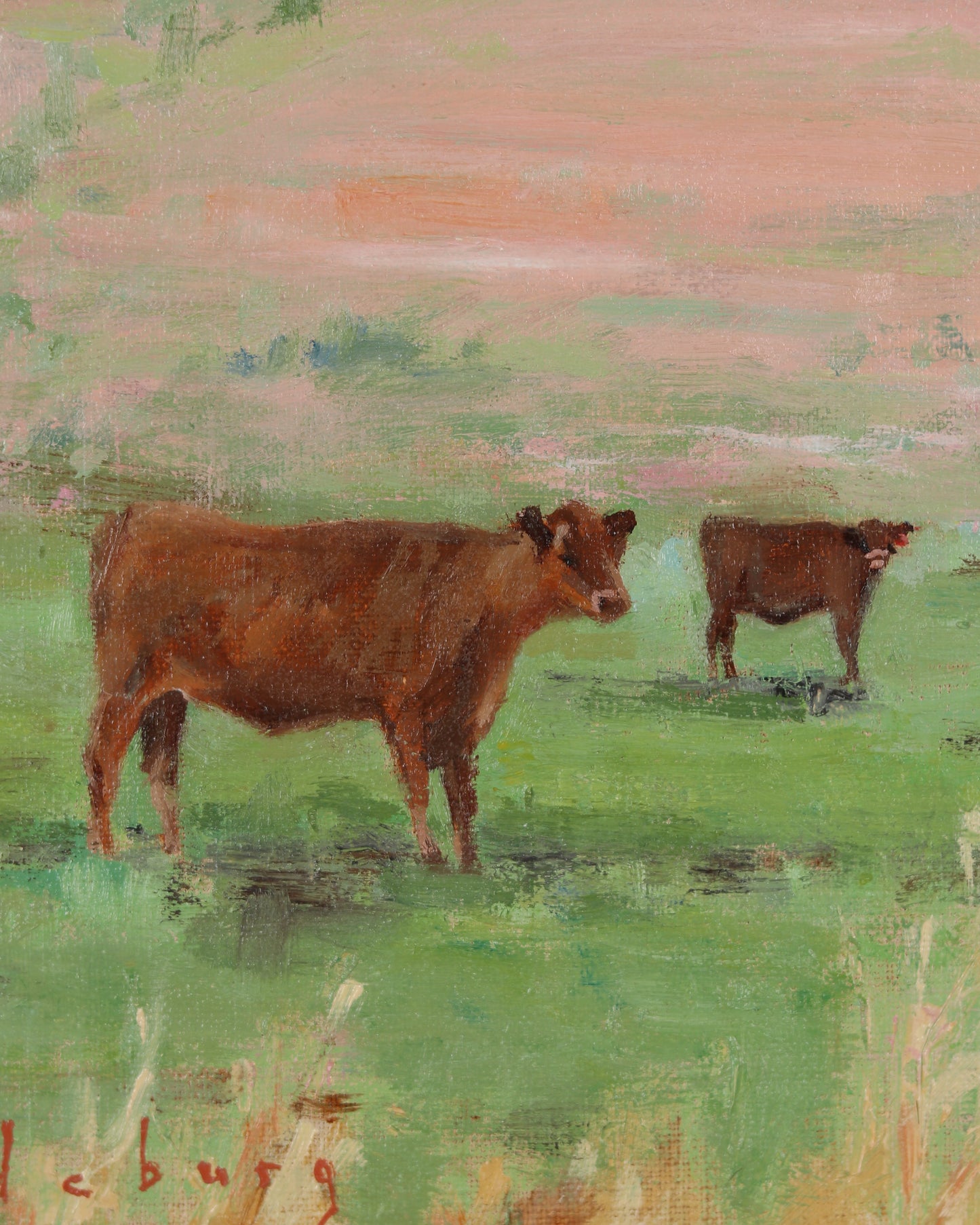 Cows
