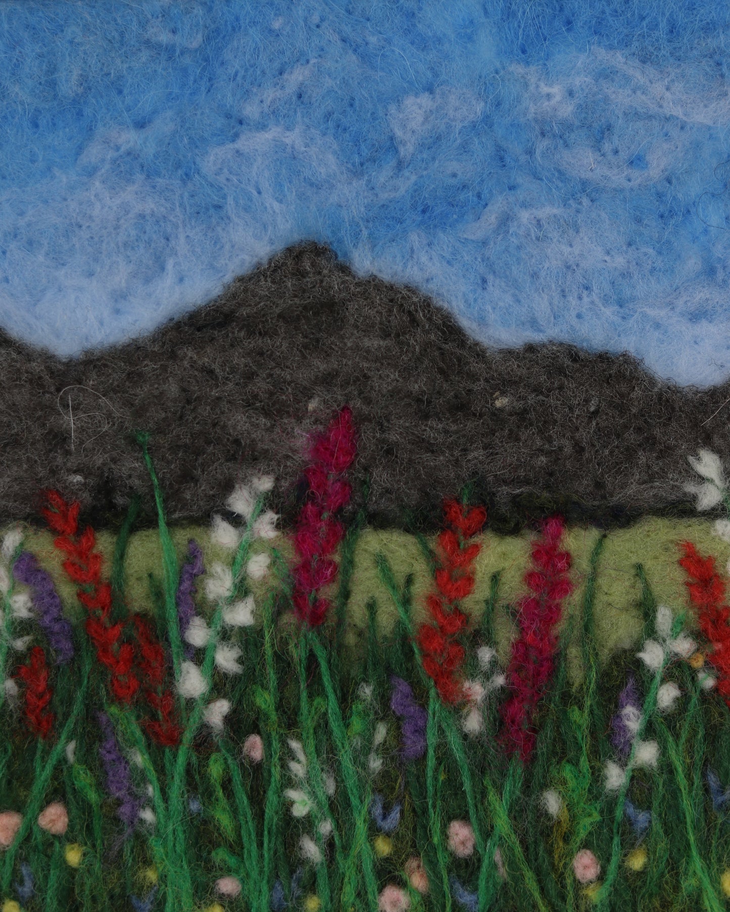 Utah's Summer Glory