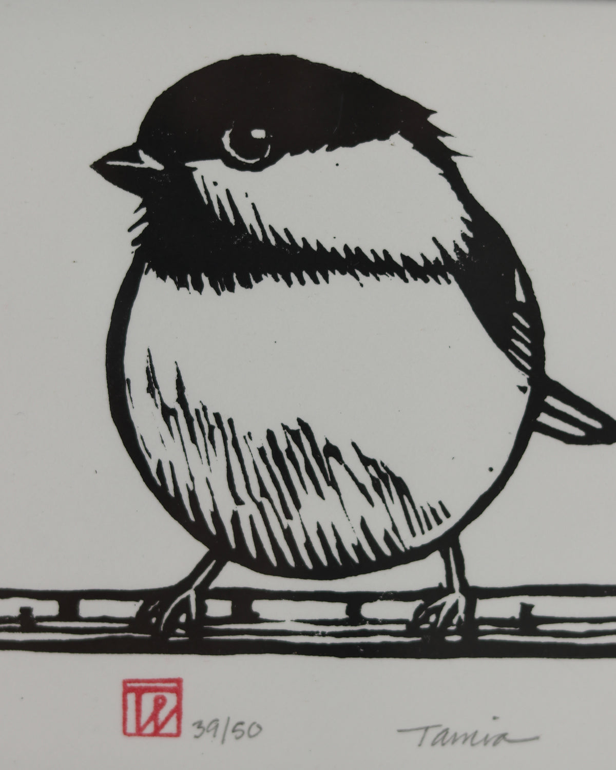 Chickadee