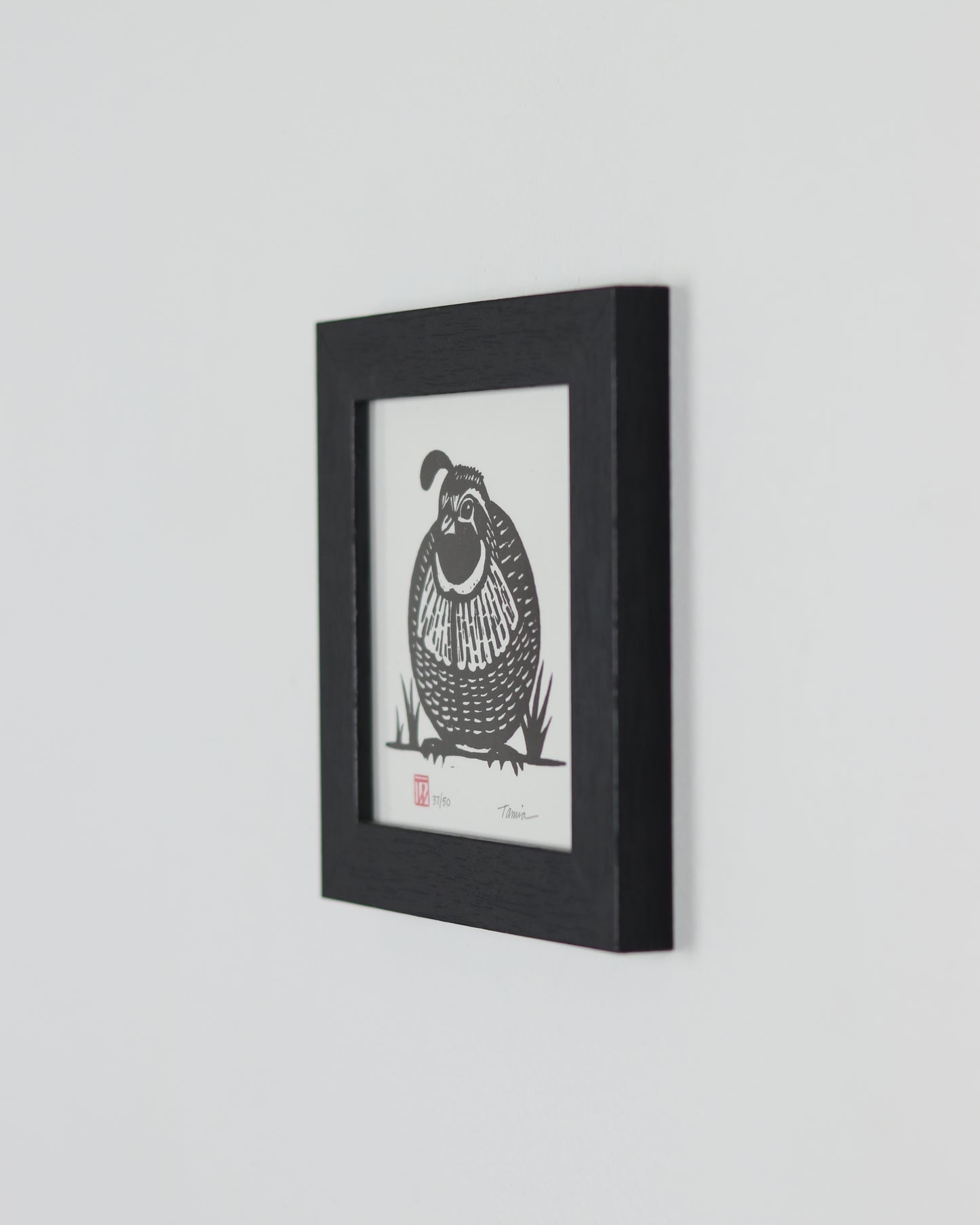 Male Quail 2