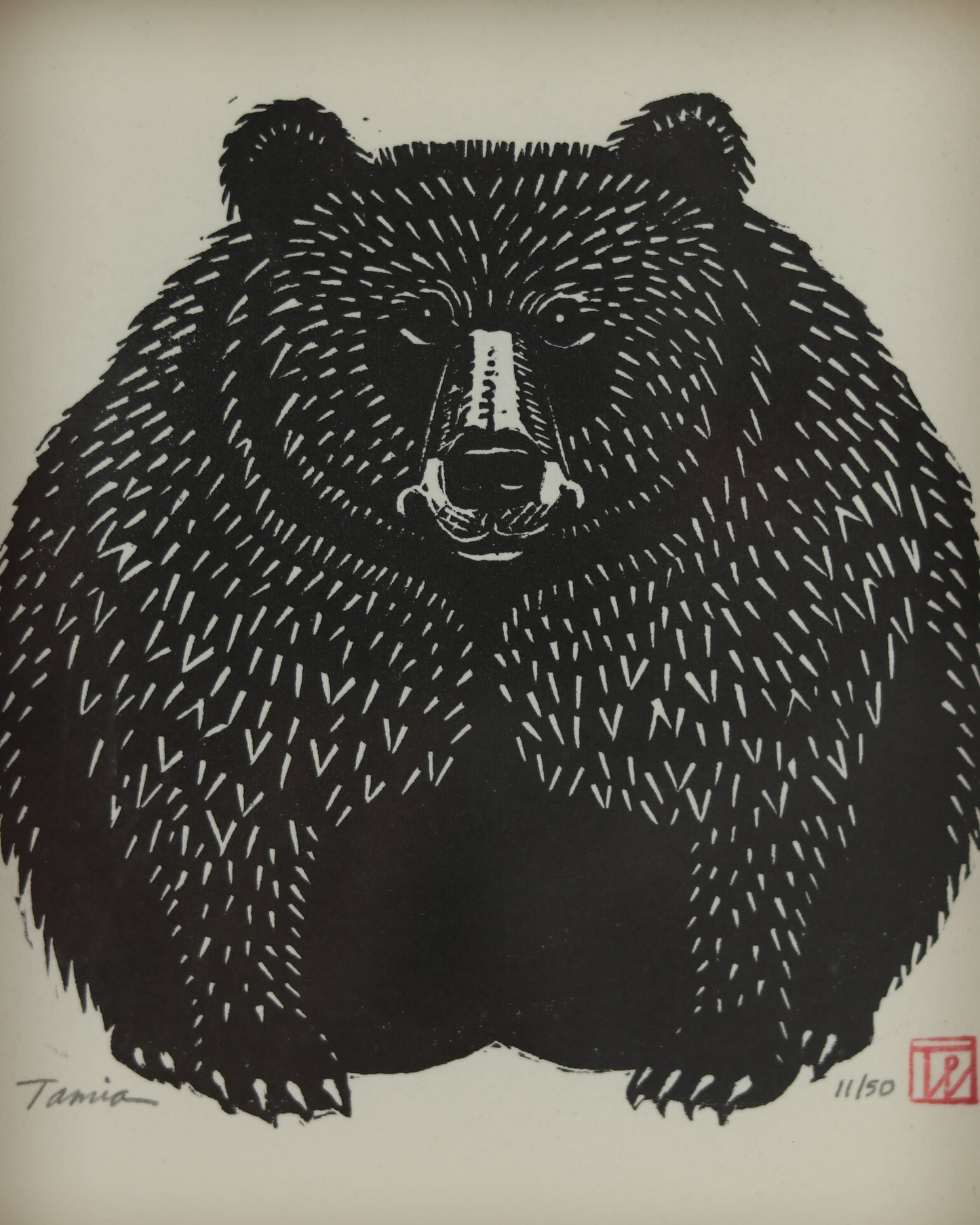 Bear 5