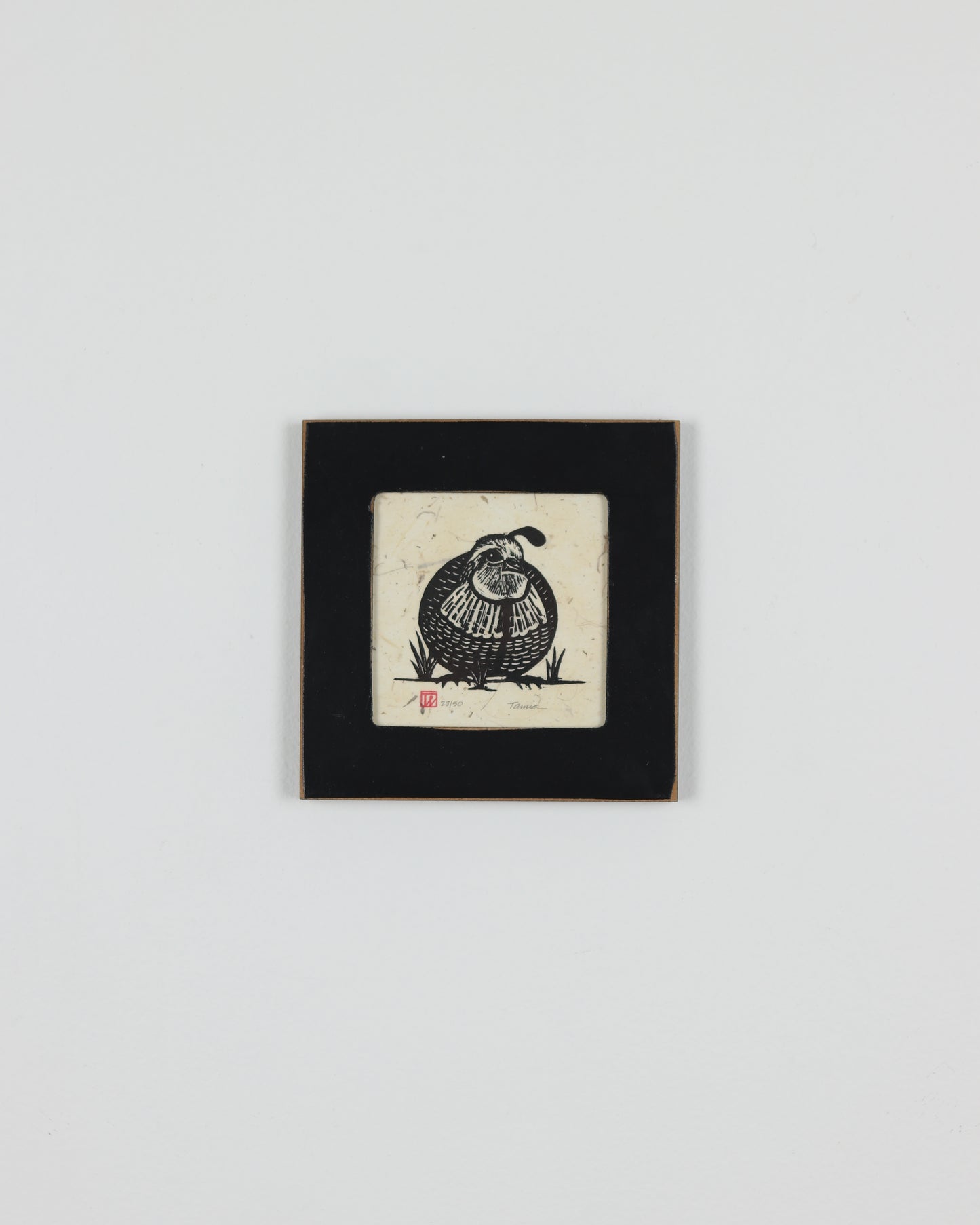 Male Quail 3
