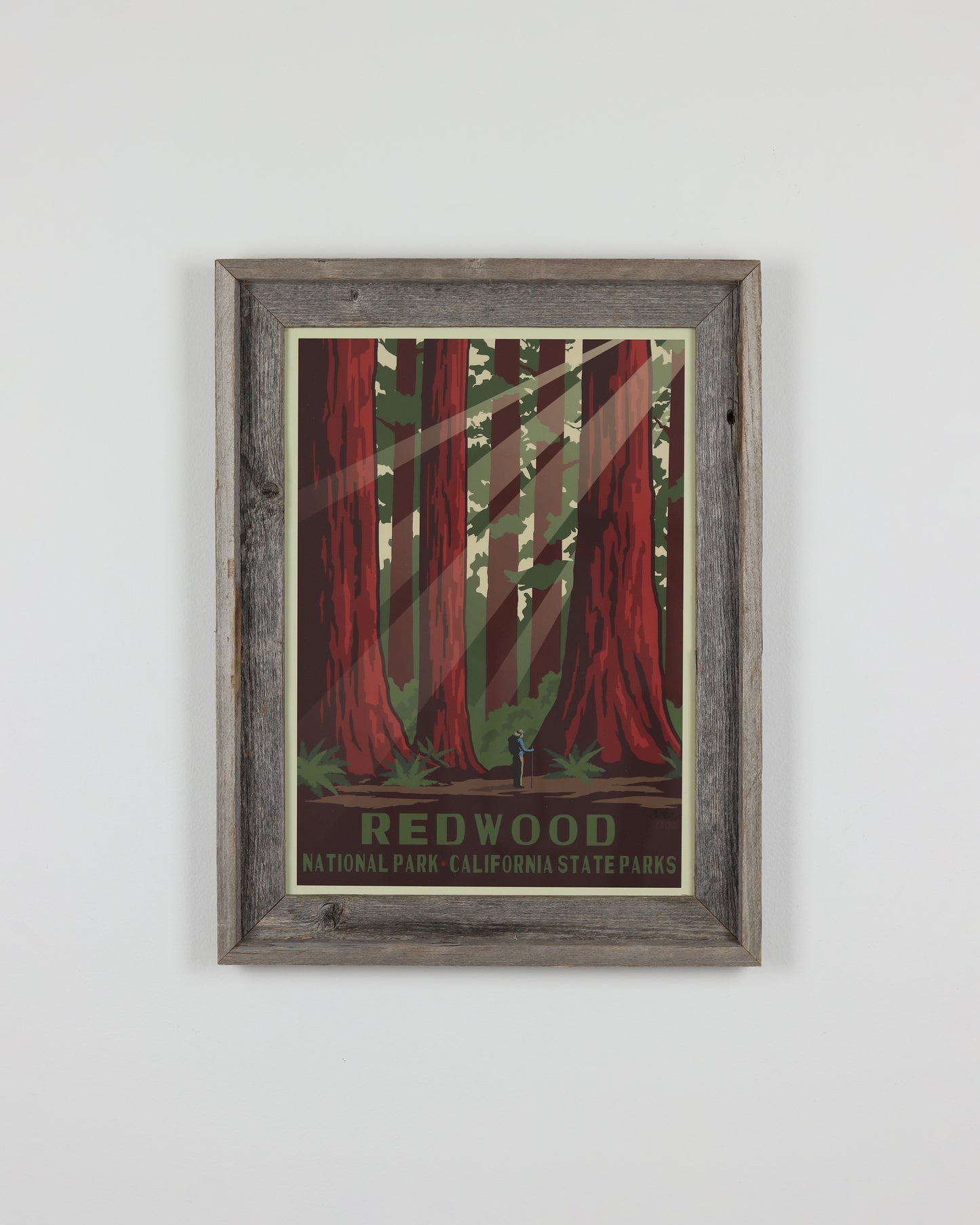 Redwoods National Park Poster