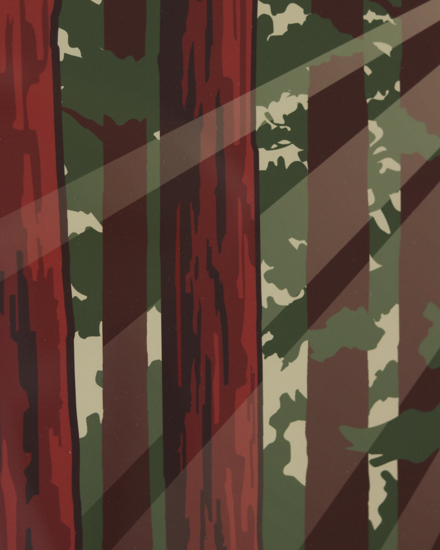 Redwoods National Park Poster