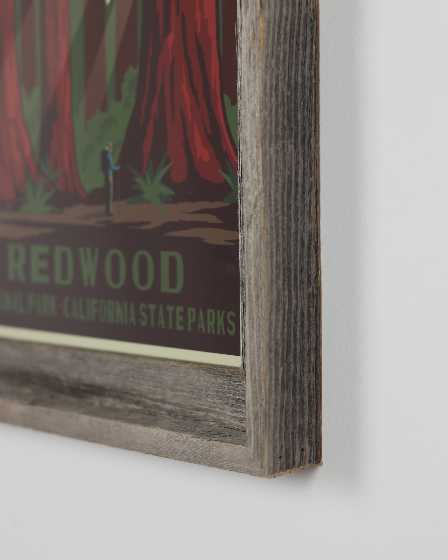 Redwoods National Park Poster