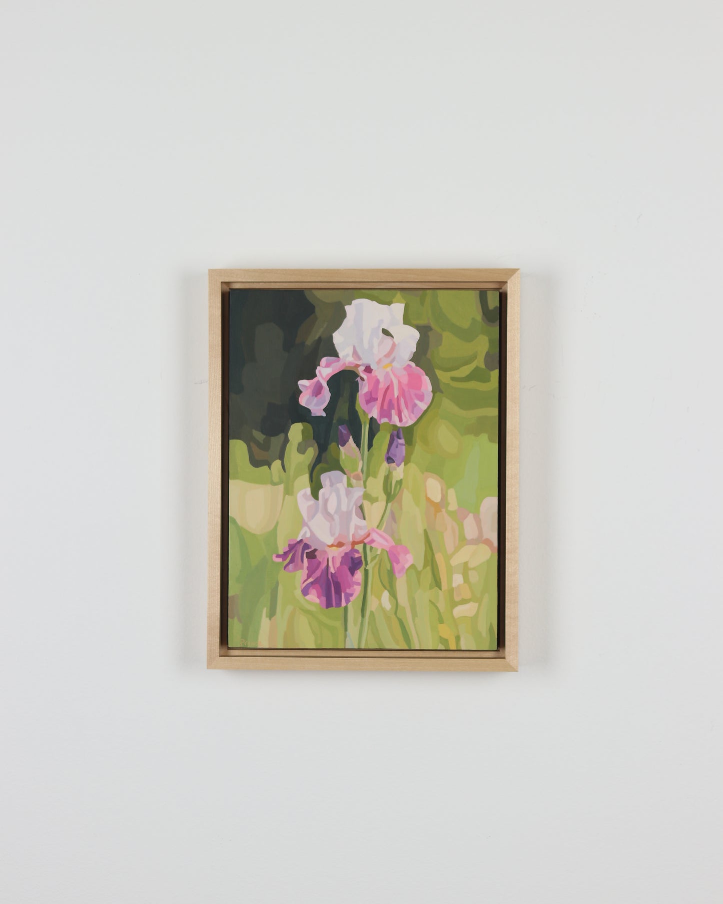 Irises in Bloom