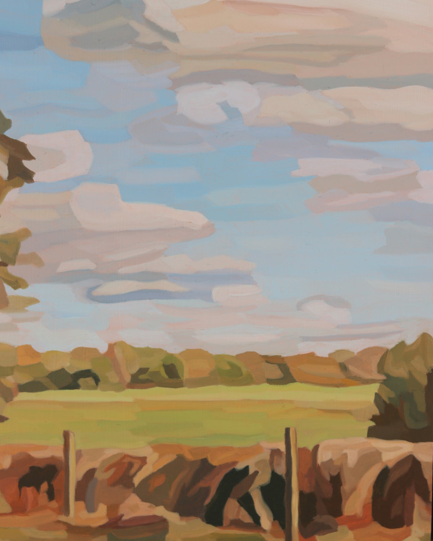 Peek Over the Hedge