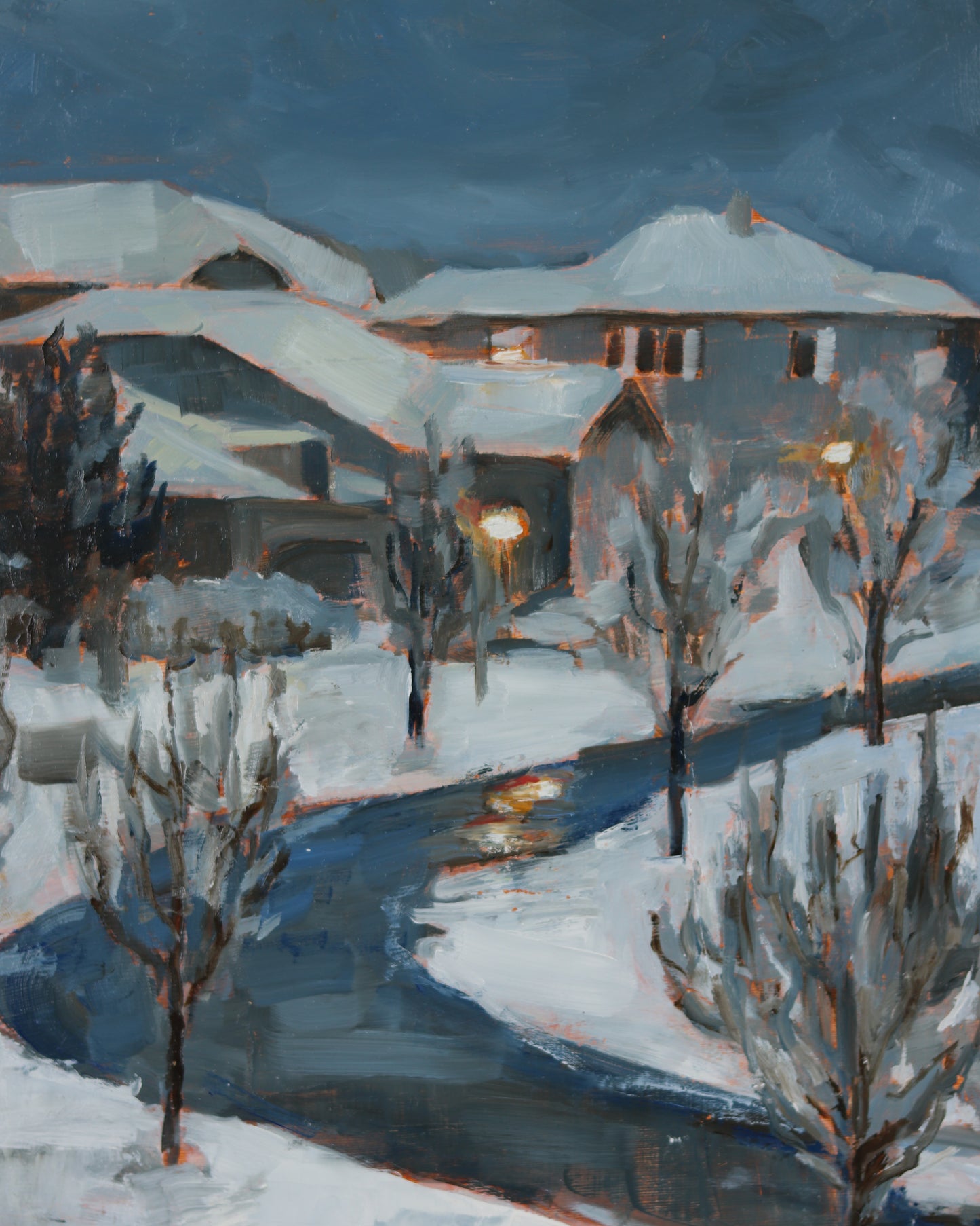 Snowy Bend