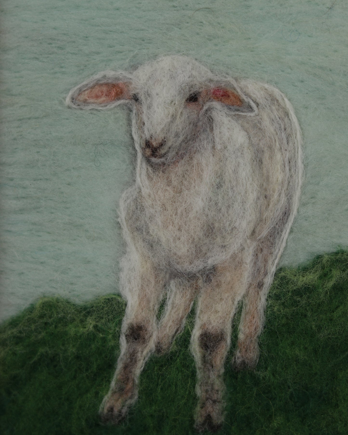 Spring Lamb