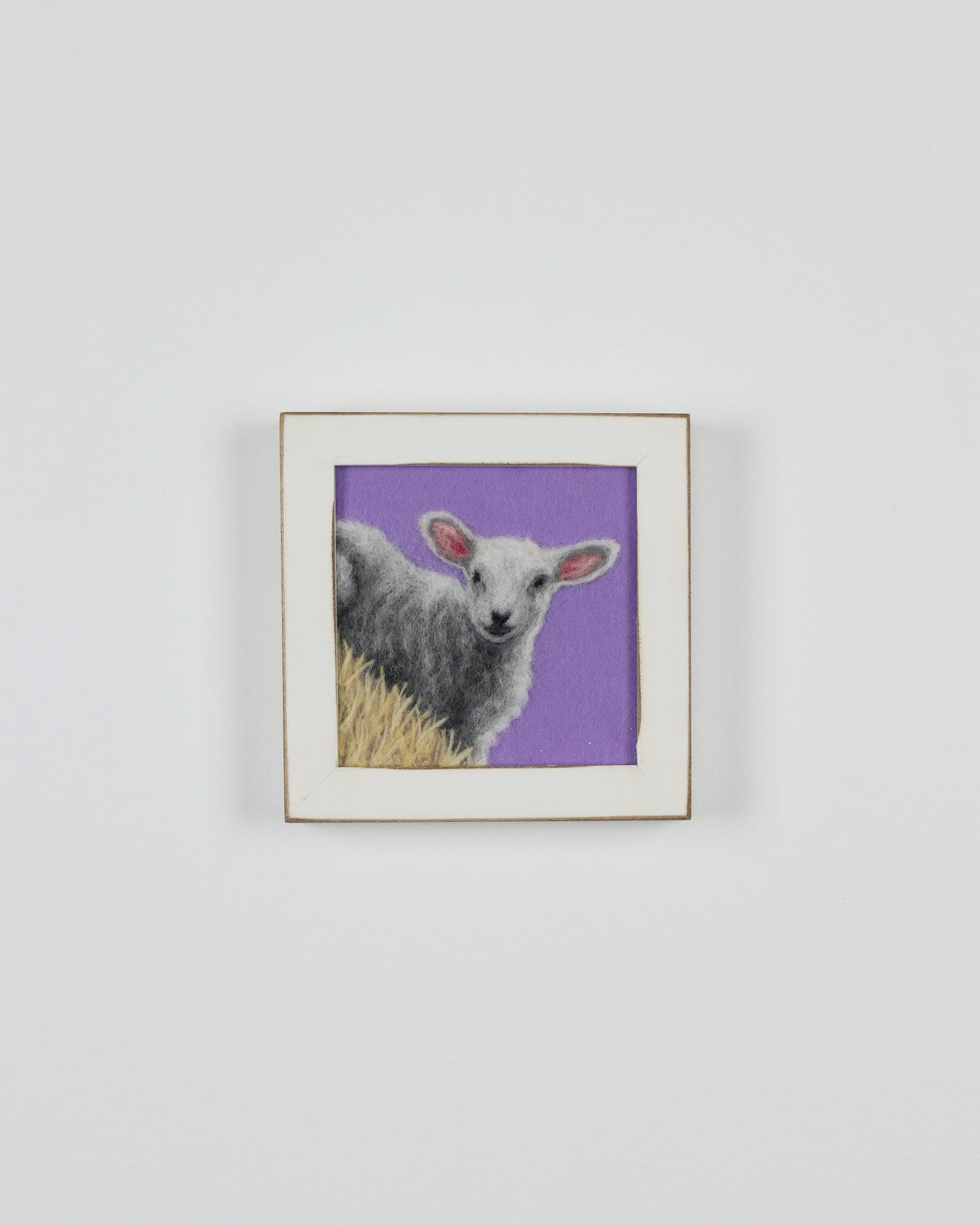 Resting Lamb