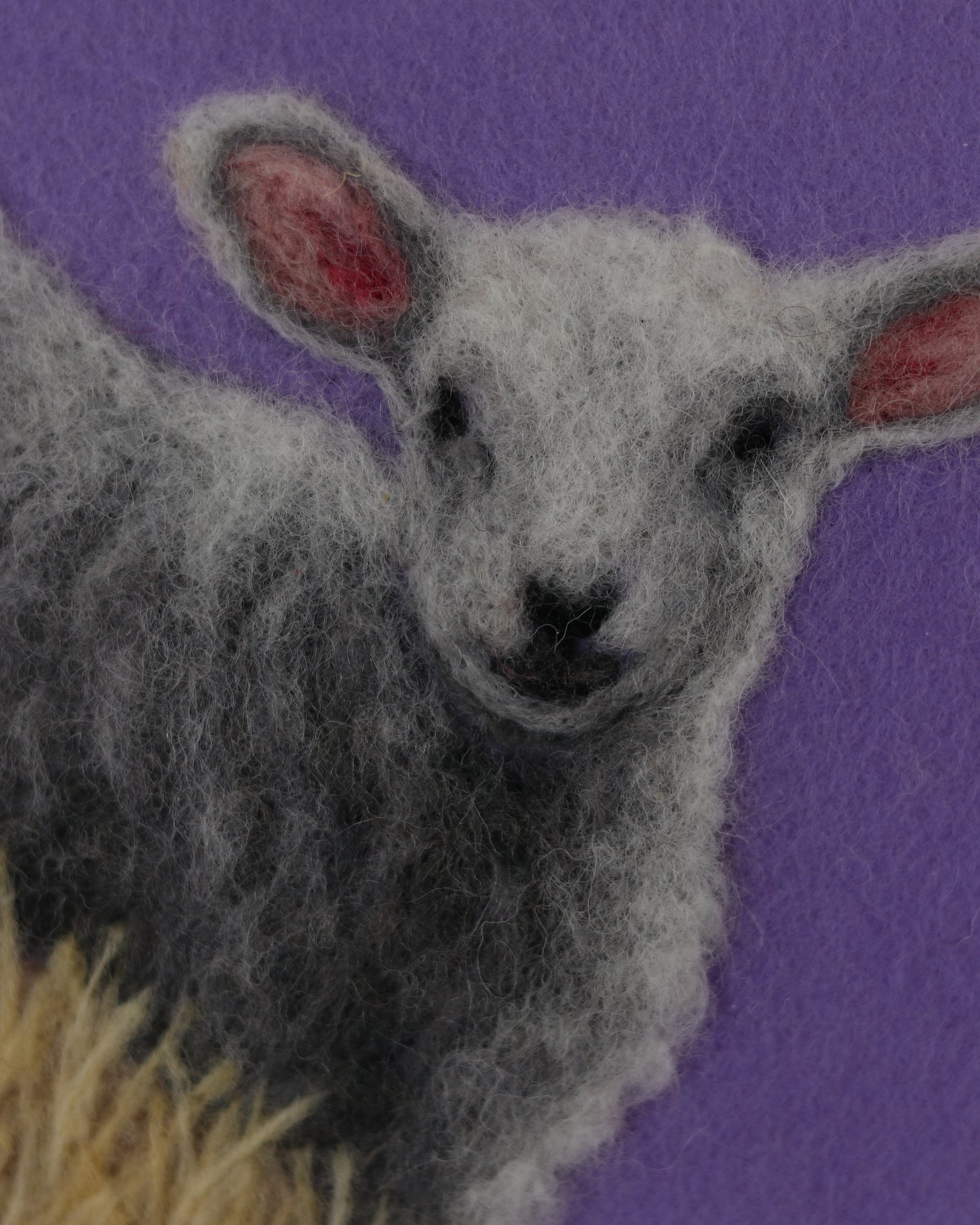 Resting Lamb