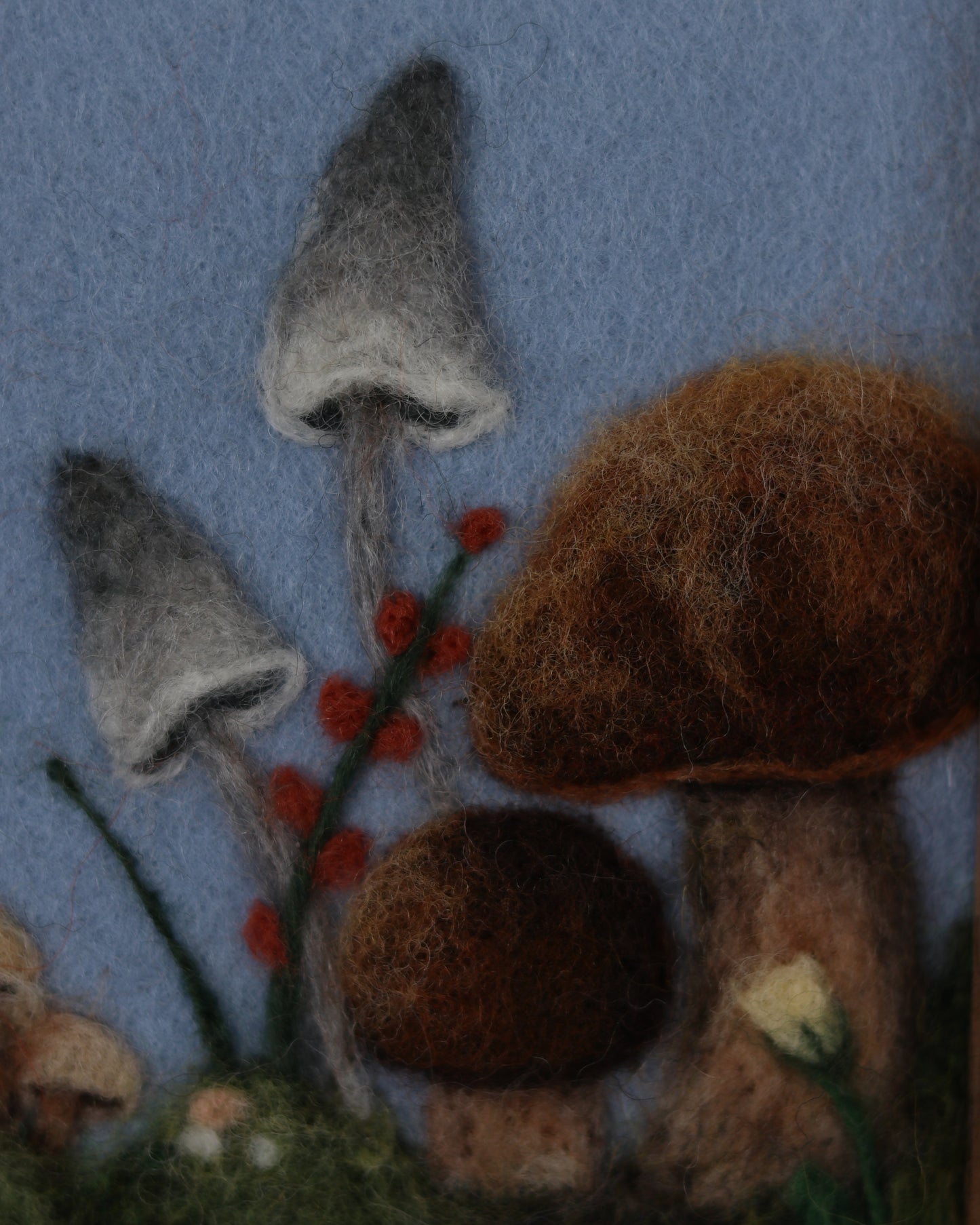Morning Forest Toadstools