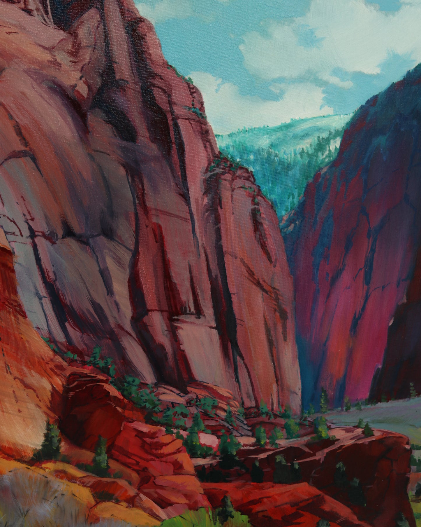South Taylor Creek Canyon