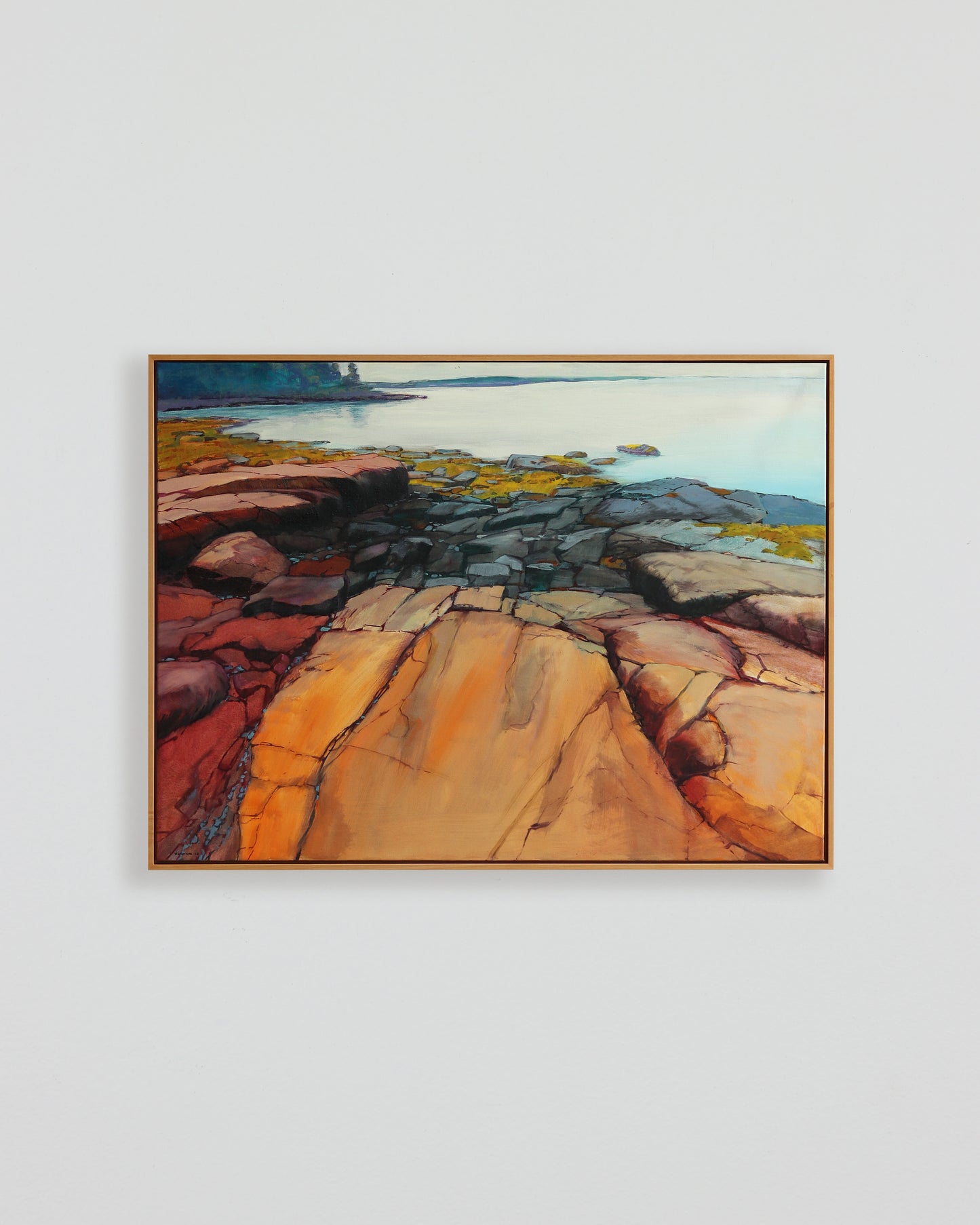 Acadia Shoreline 2