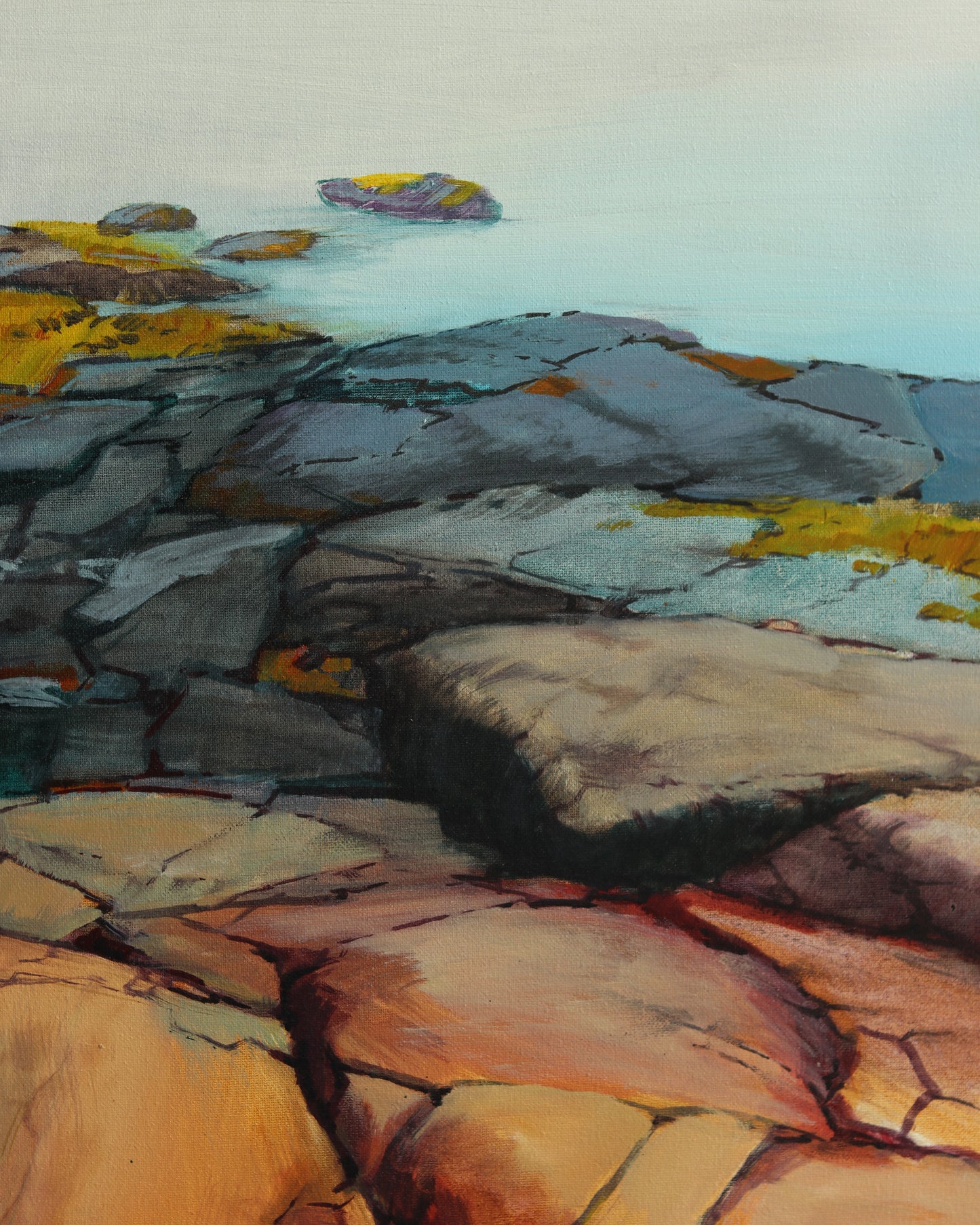 Acadia Shoreline 2