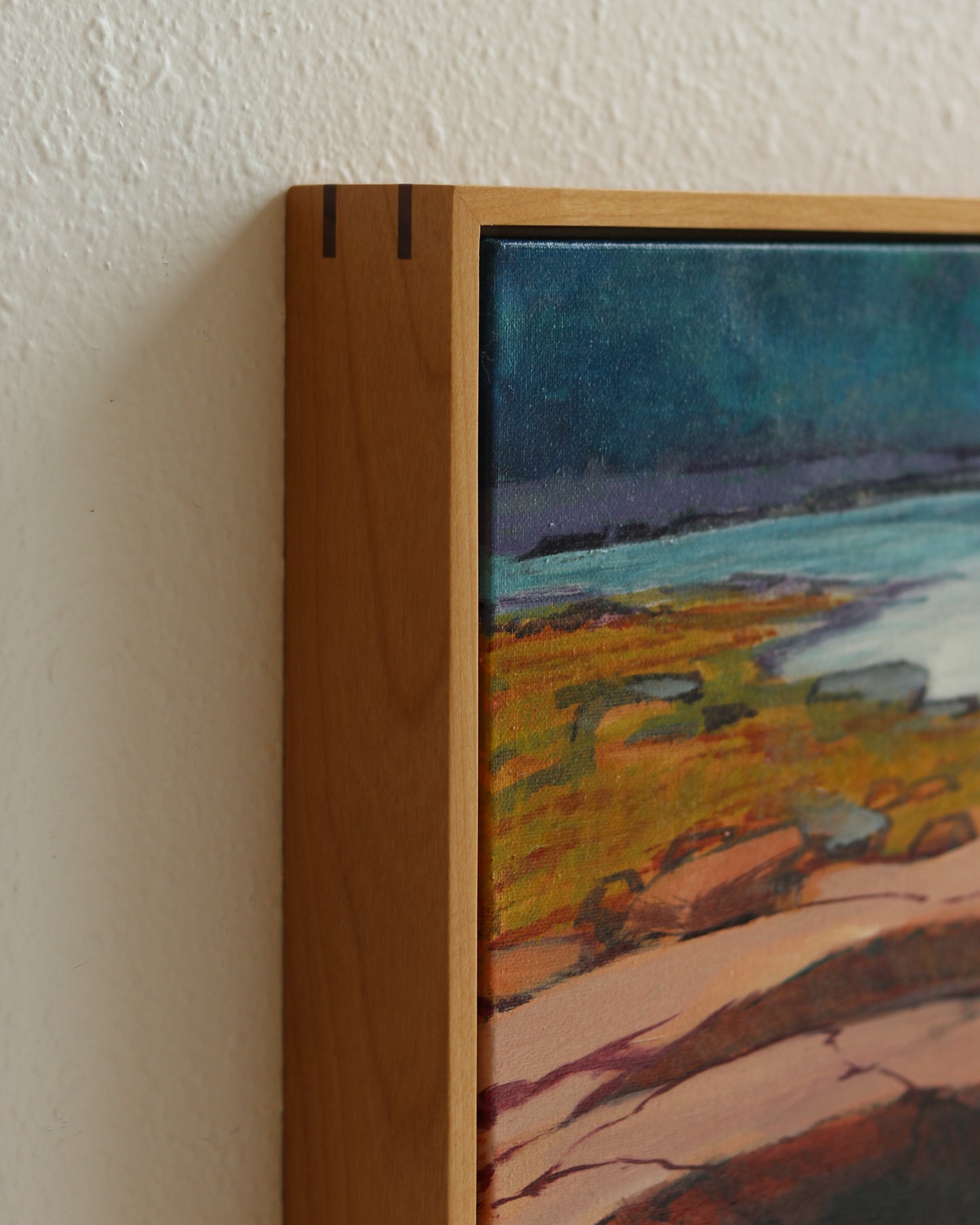 Acadia Shoreline 2