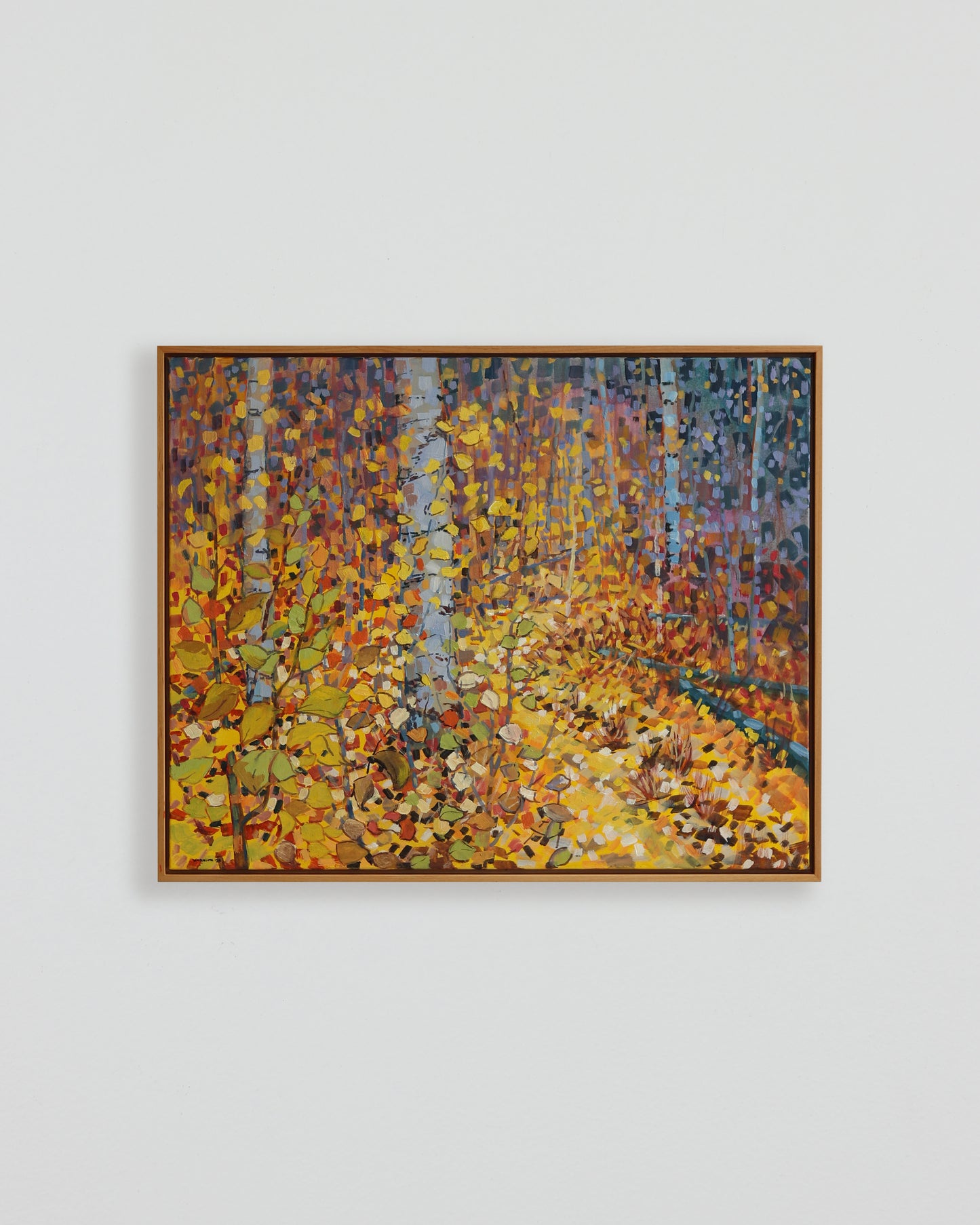 Autumn Forest