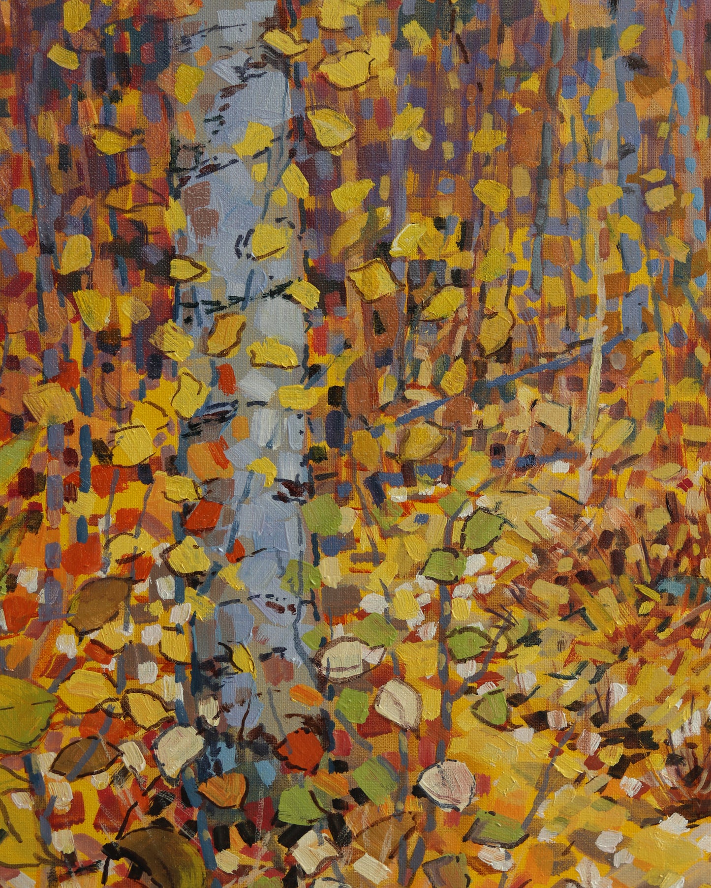 Autumn Forest