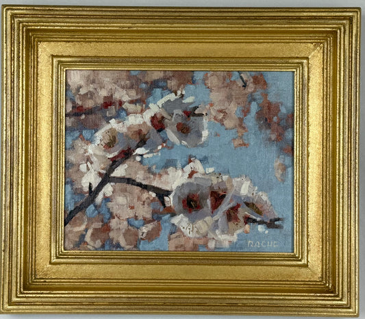 Apple Blossom Scenes