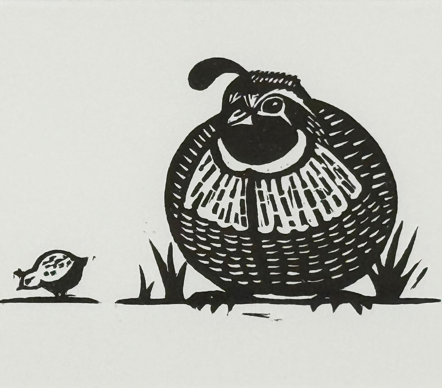 Quail Family 3
