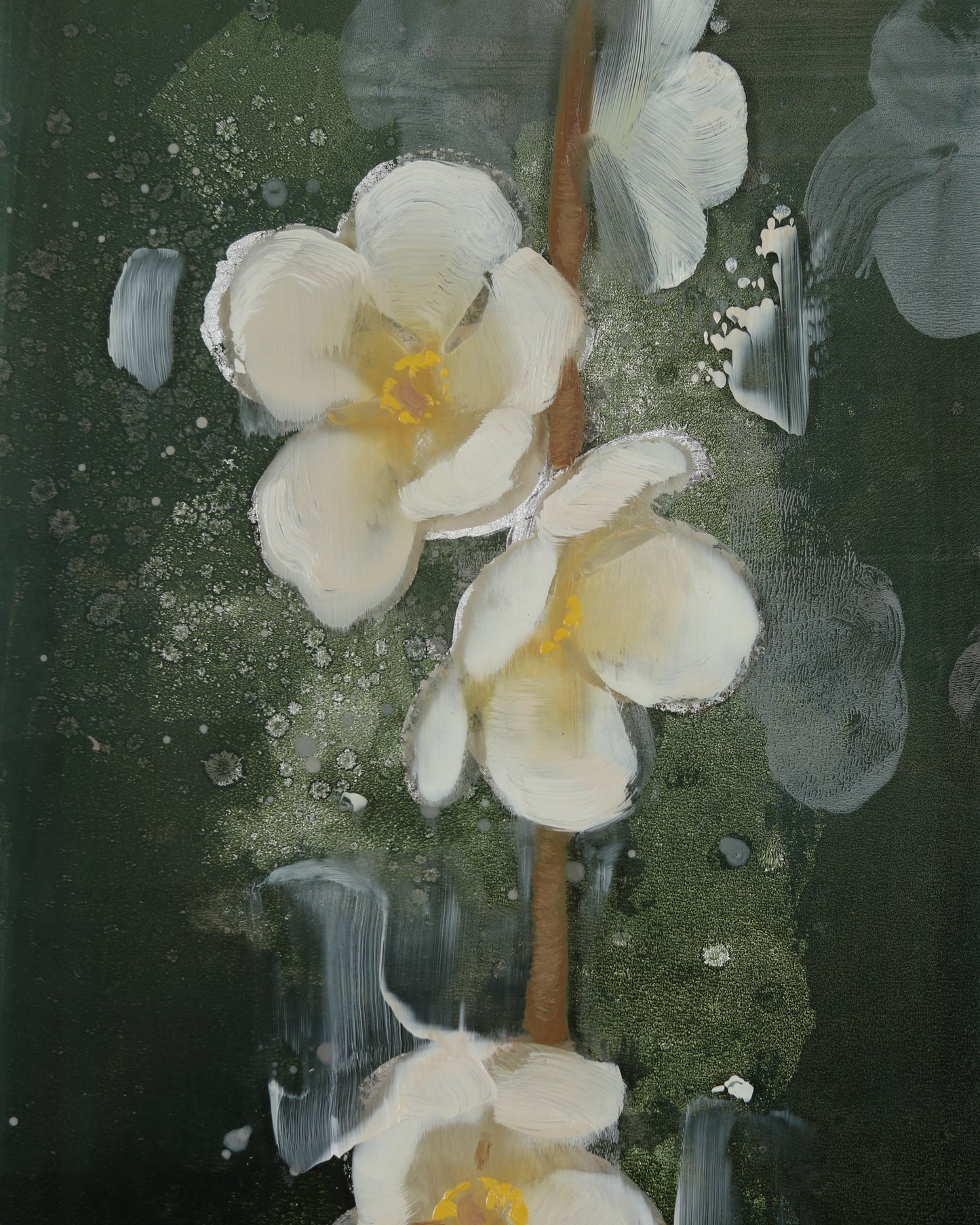 Apple Blossoms