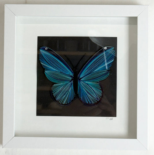 Blue Butterfly