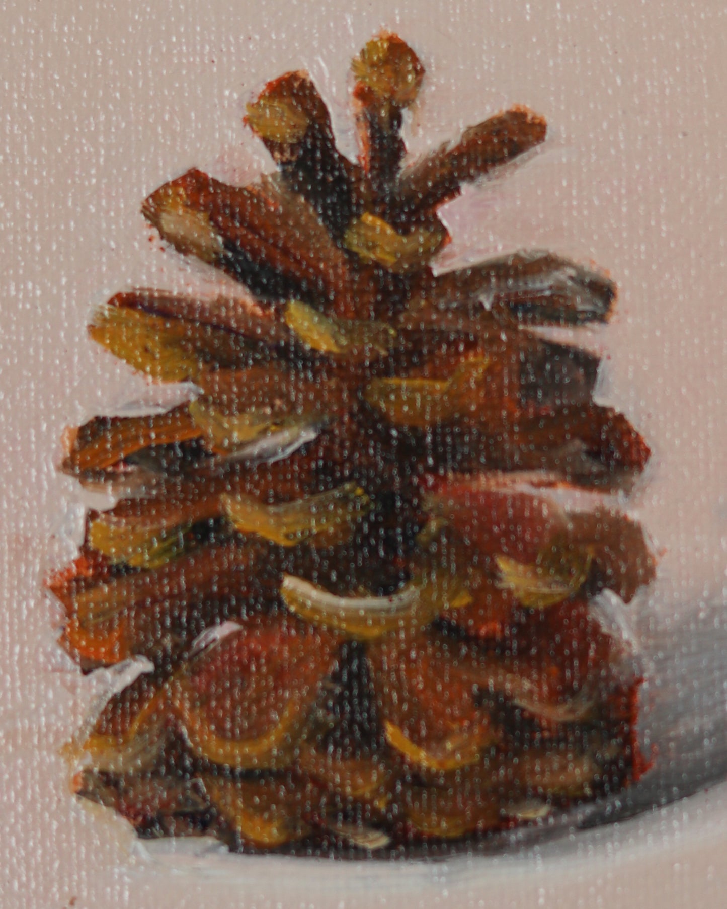 Pinecone