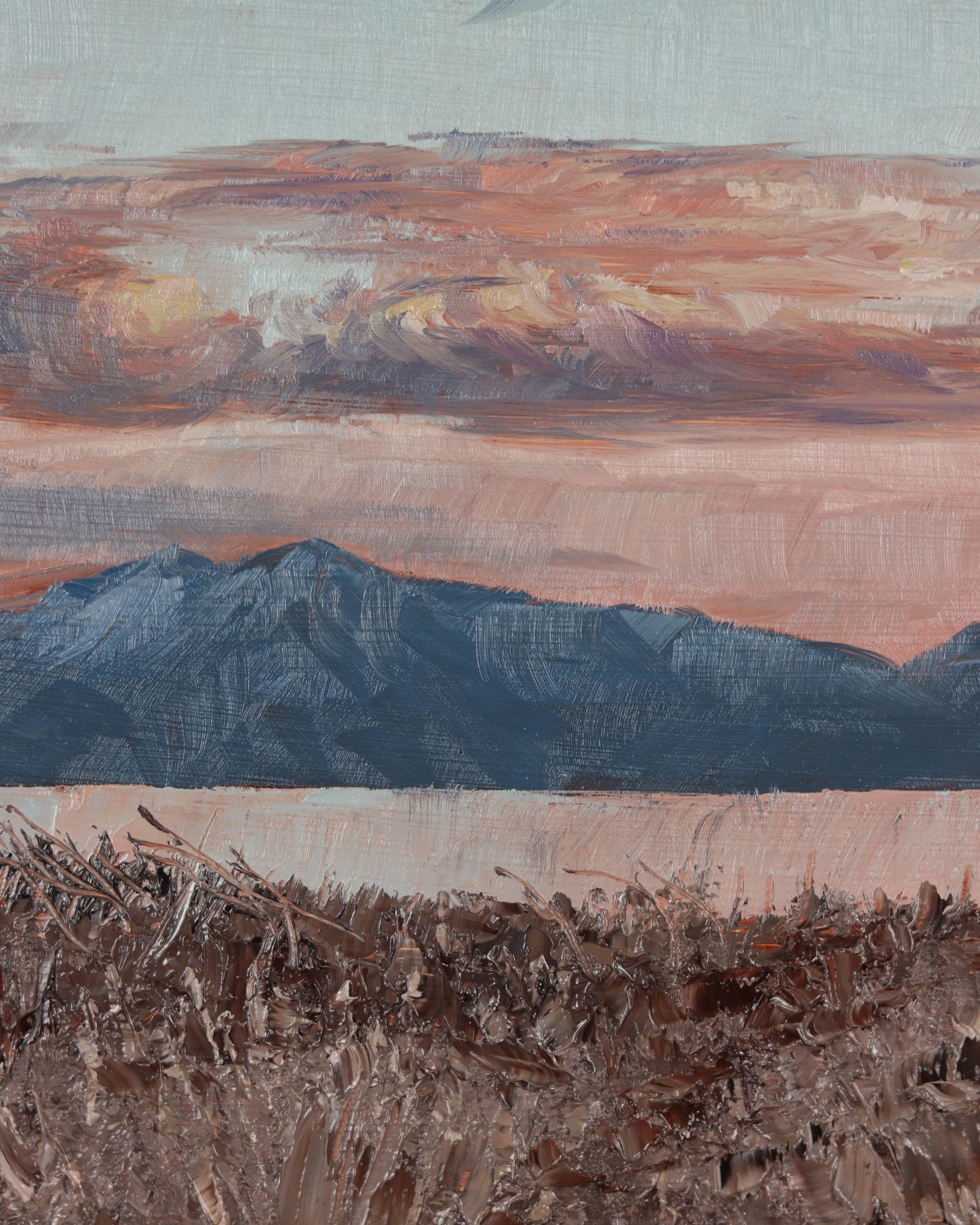 Utah Lake Pinks