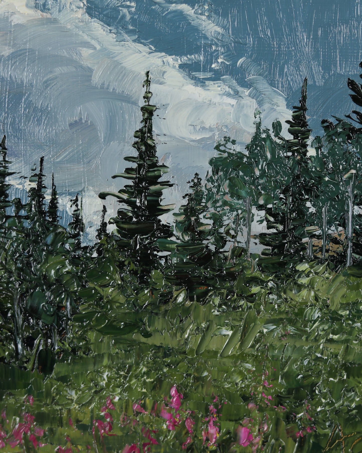 Pines & Magenta Fireweed