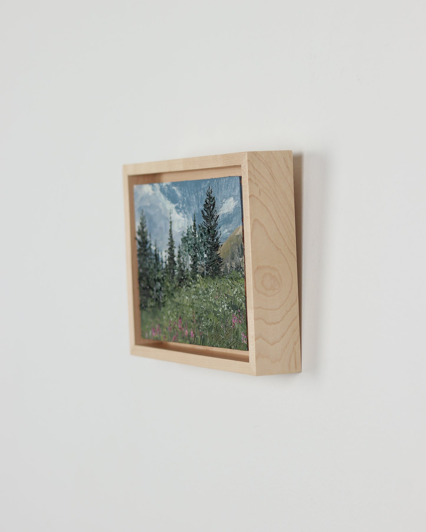 Pines & Magenta Fireweed