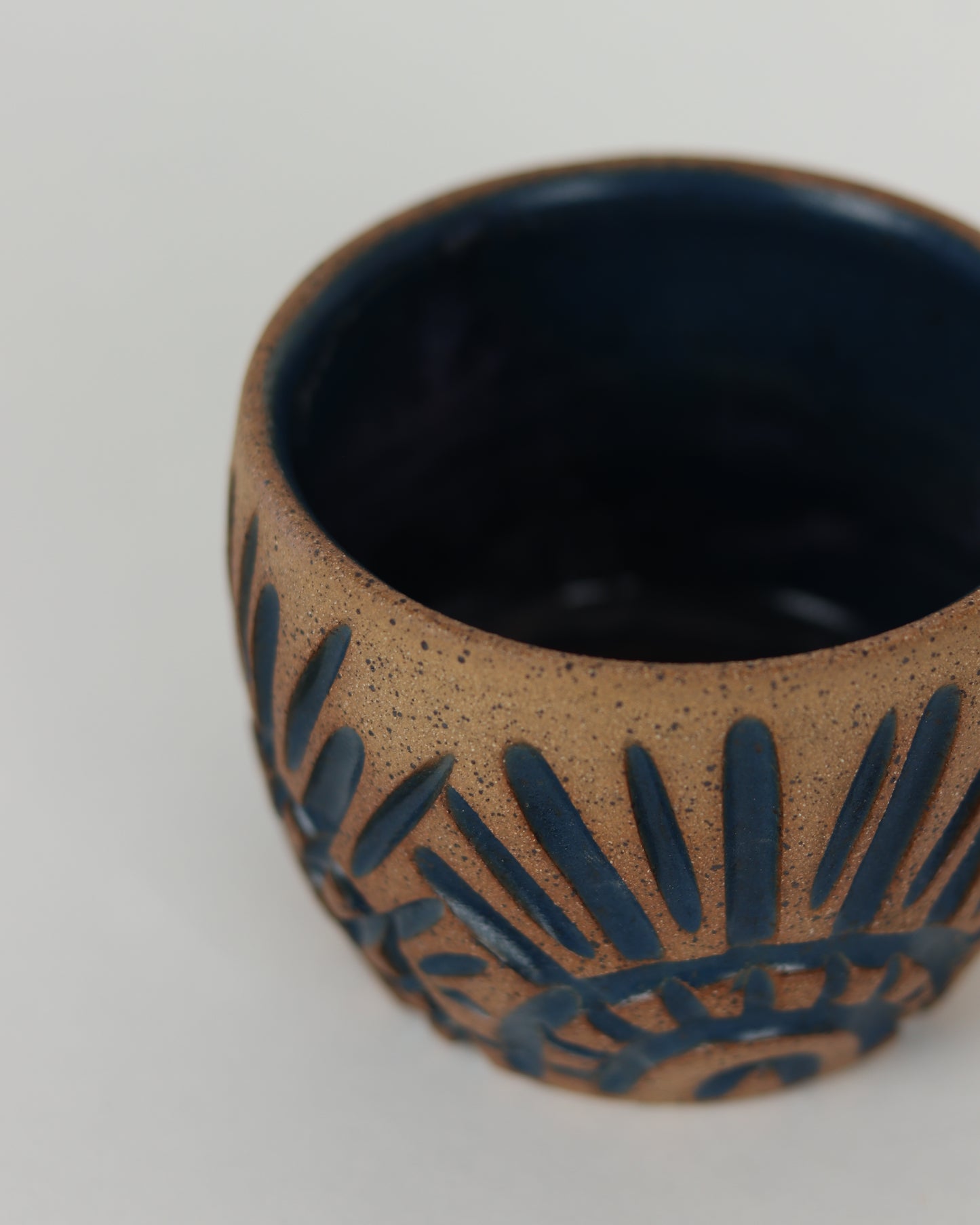 Rays Mug