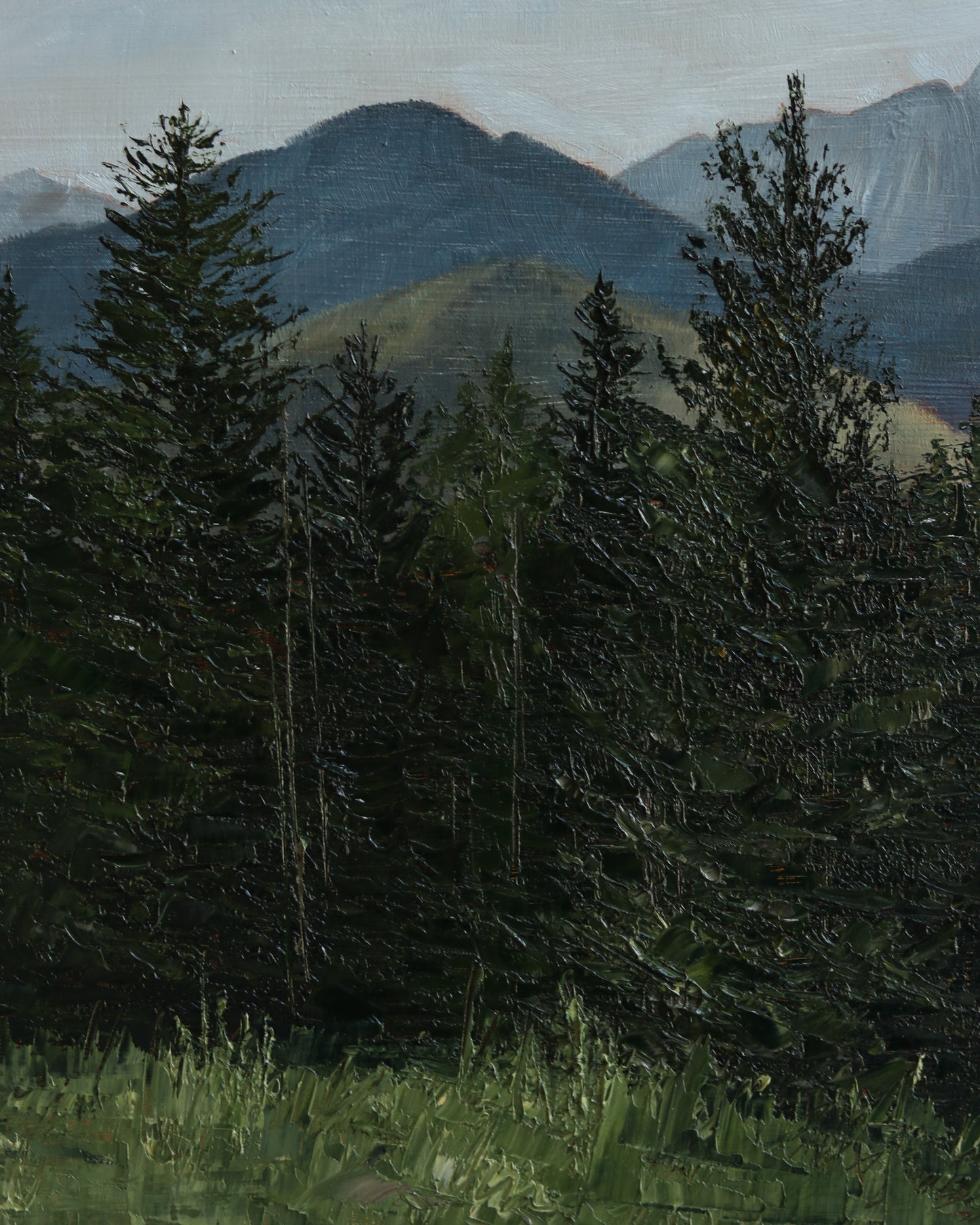 Brighton Pines (Backside of Timp)