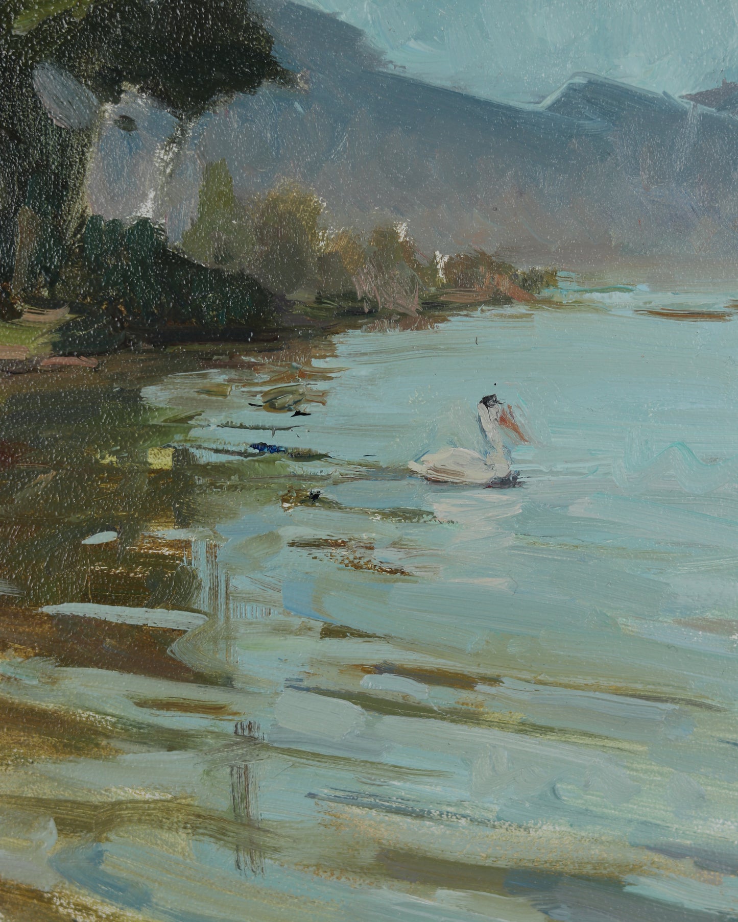 Life at Utah Lake