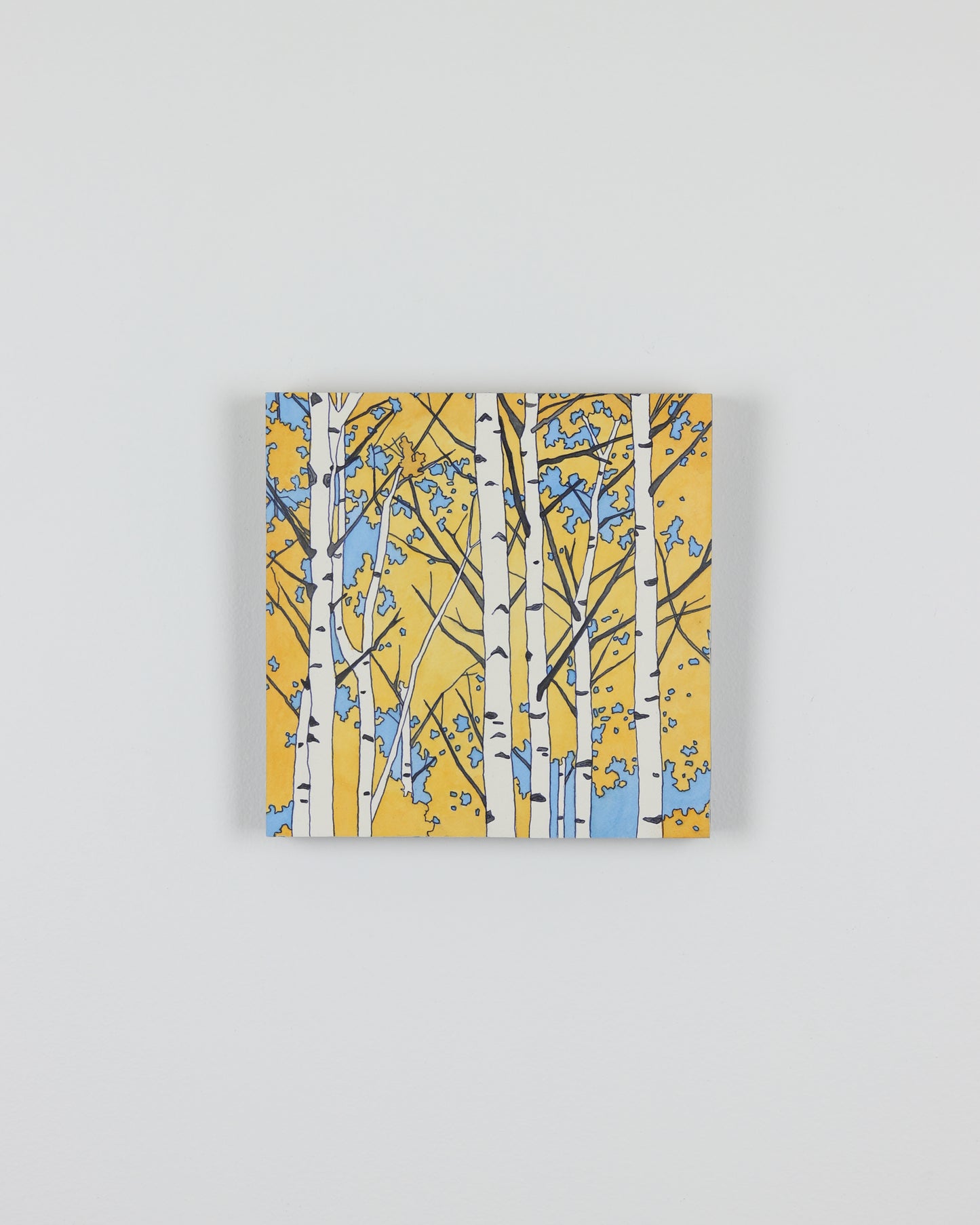 Aspen and Sky