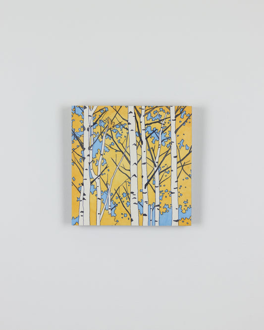 Aspen and Sky