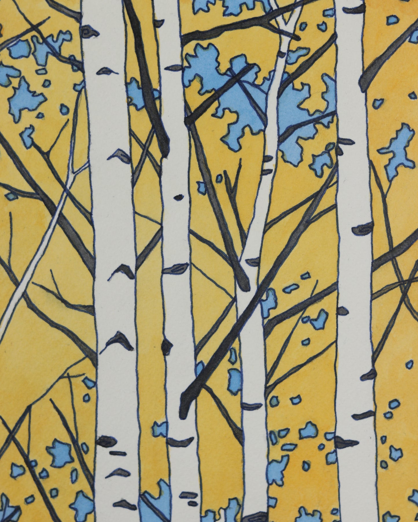 Aspen and Sky