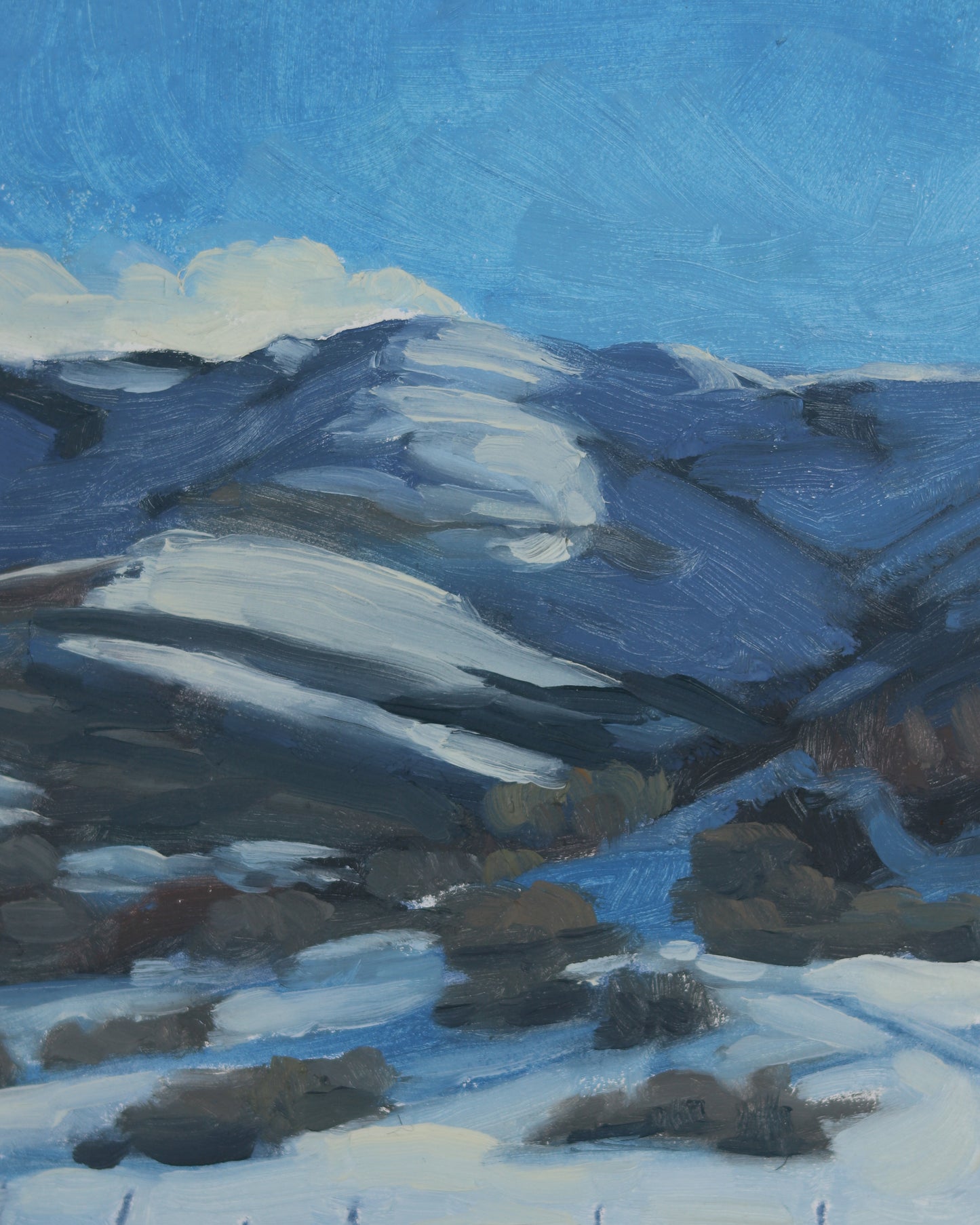 Parley's Canyon Snow