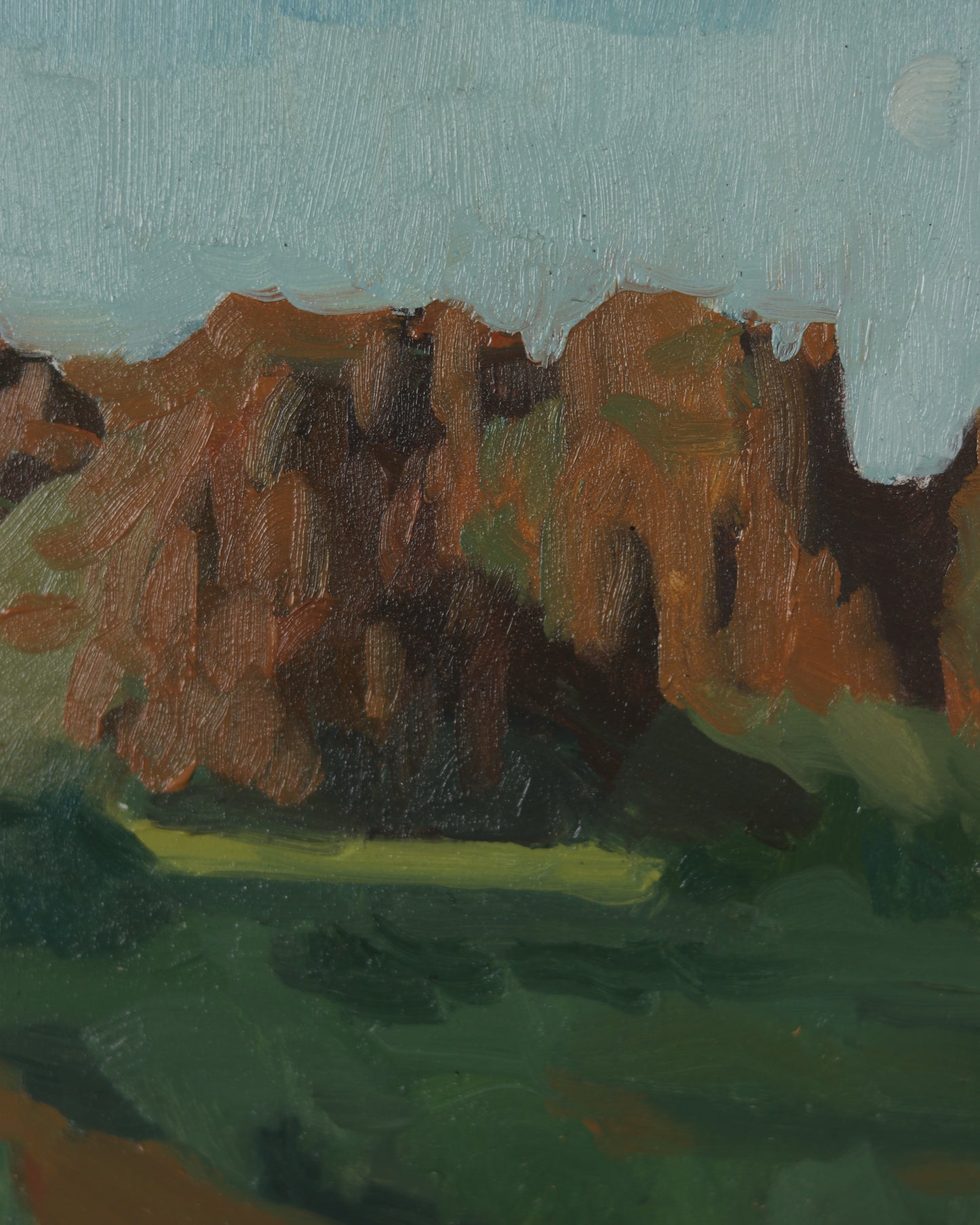 Snow Canyon